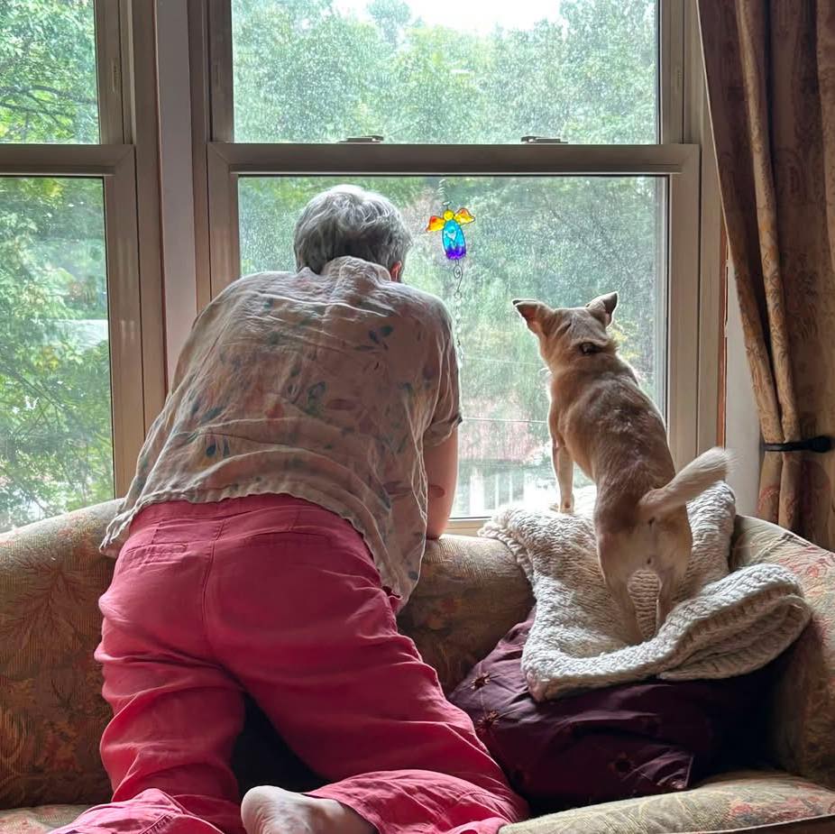 Joan Doyle - What my morning consists of: pajamas, Sofi,... | Facebook