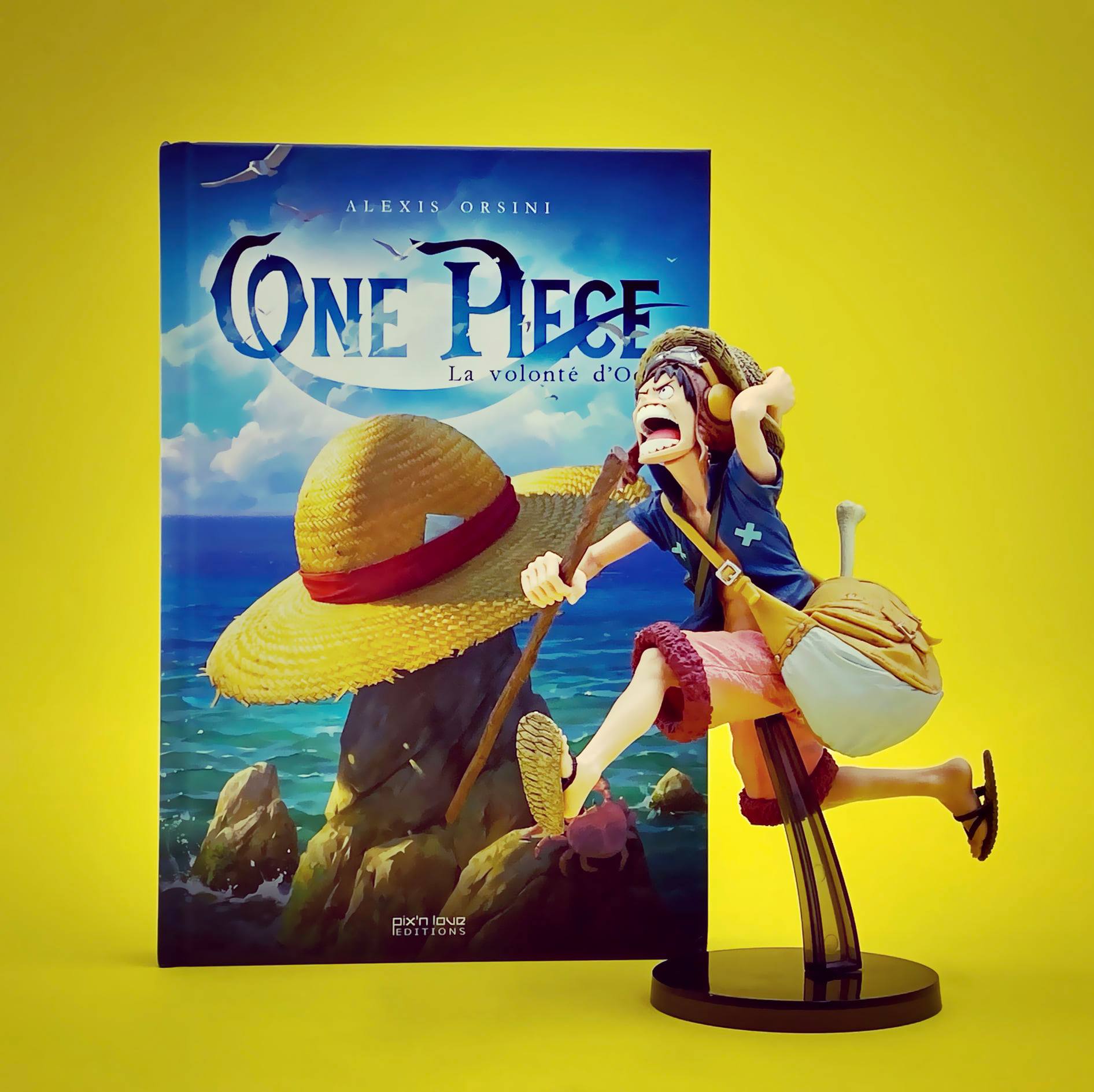 One Piece La Volonté D oda