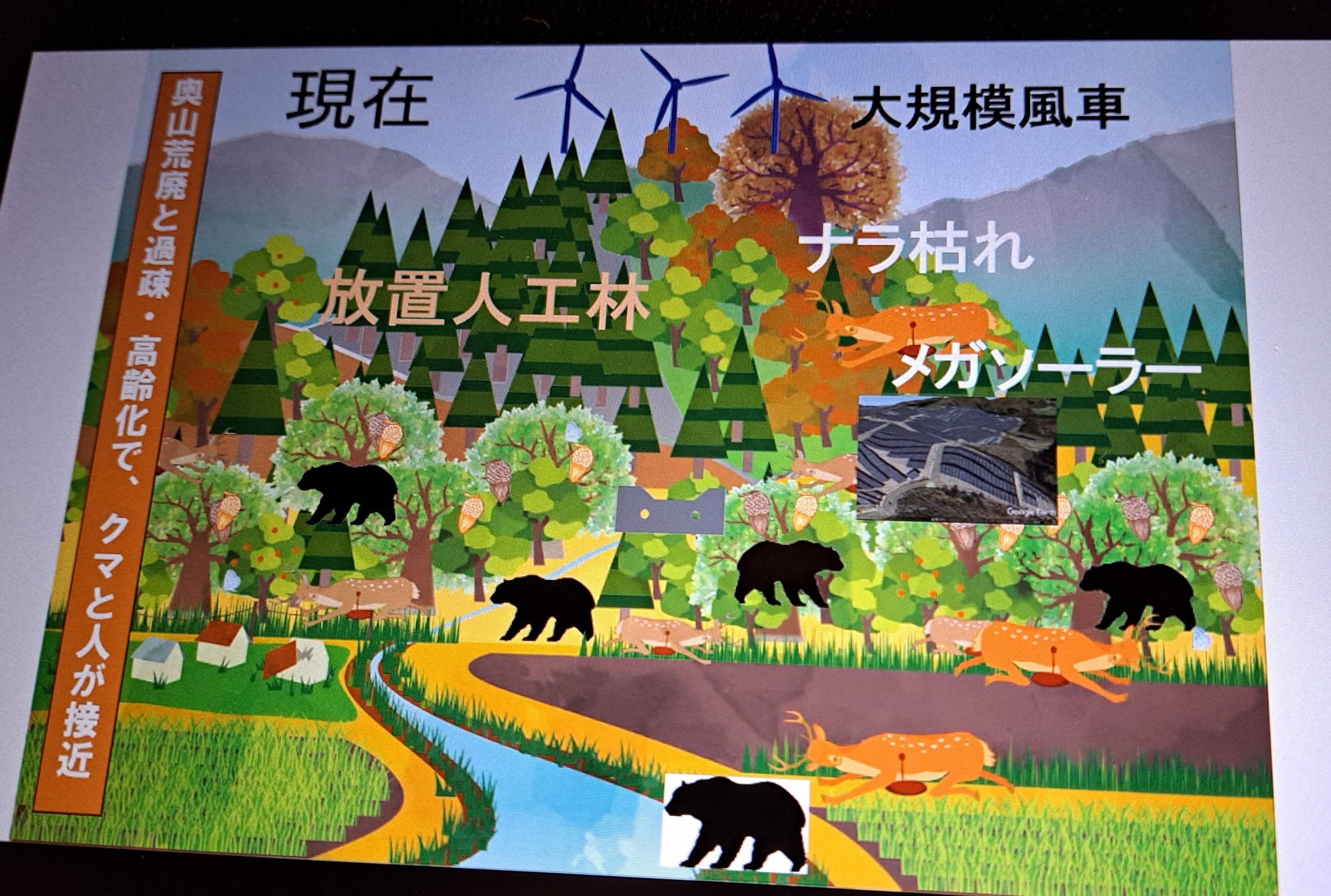 クマを知れば、クマと出会わない🐻】 近年、全国各地でクマの出没が
