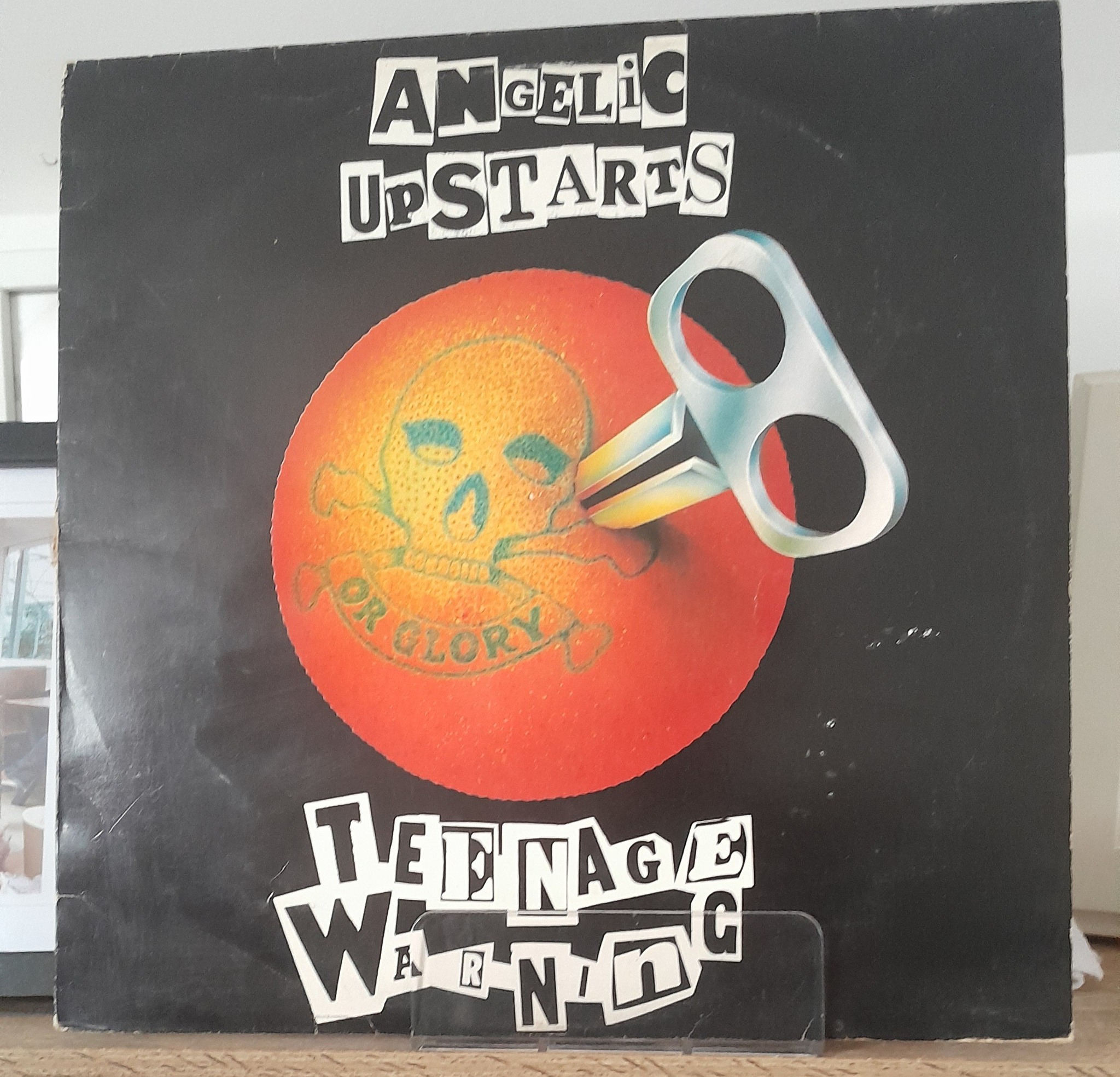 ORANGE VINYL PRE-ORDER: Teenage Warning is the long overdue vinyl