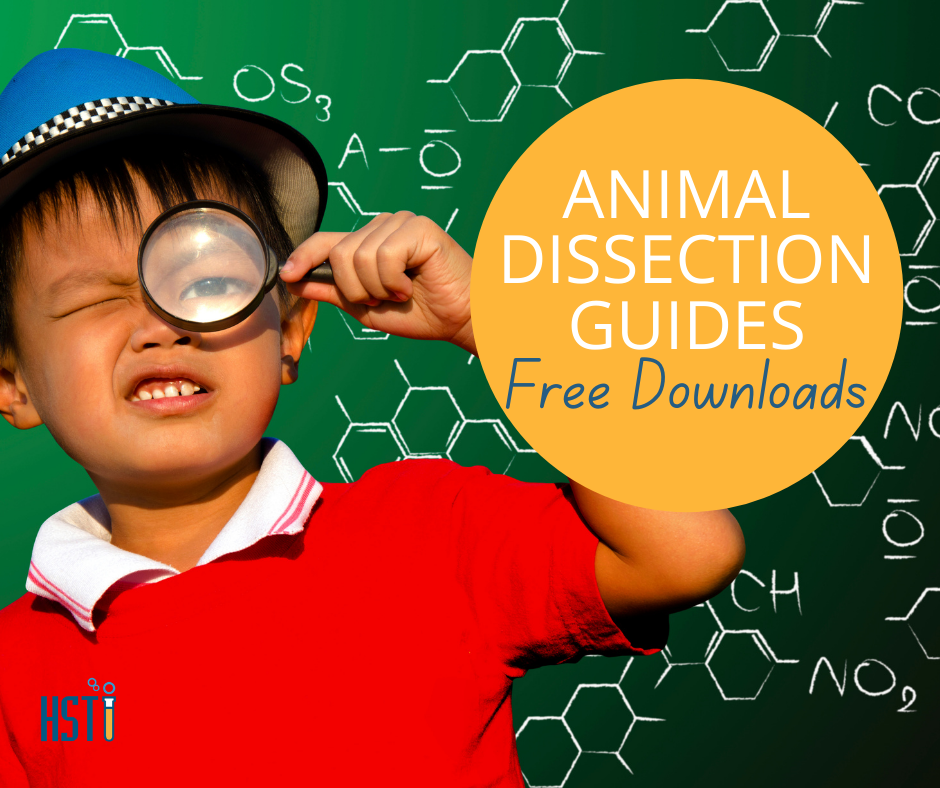 Home Science Tools - On the Home Science Tools website, you'll find ...