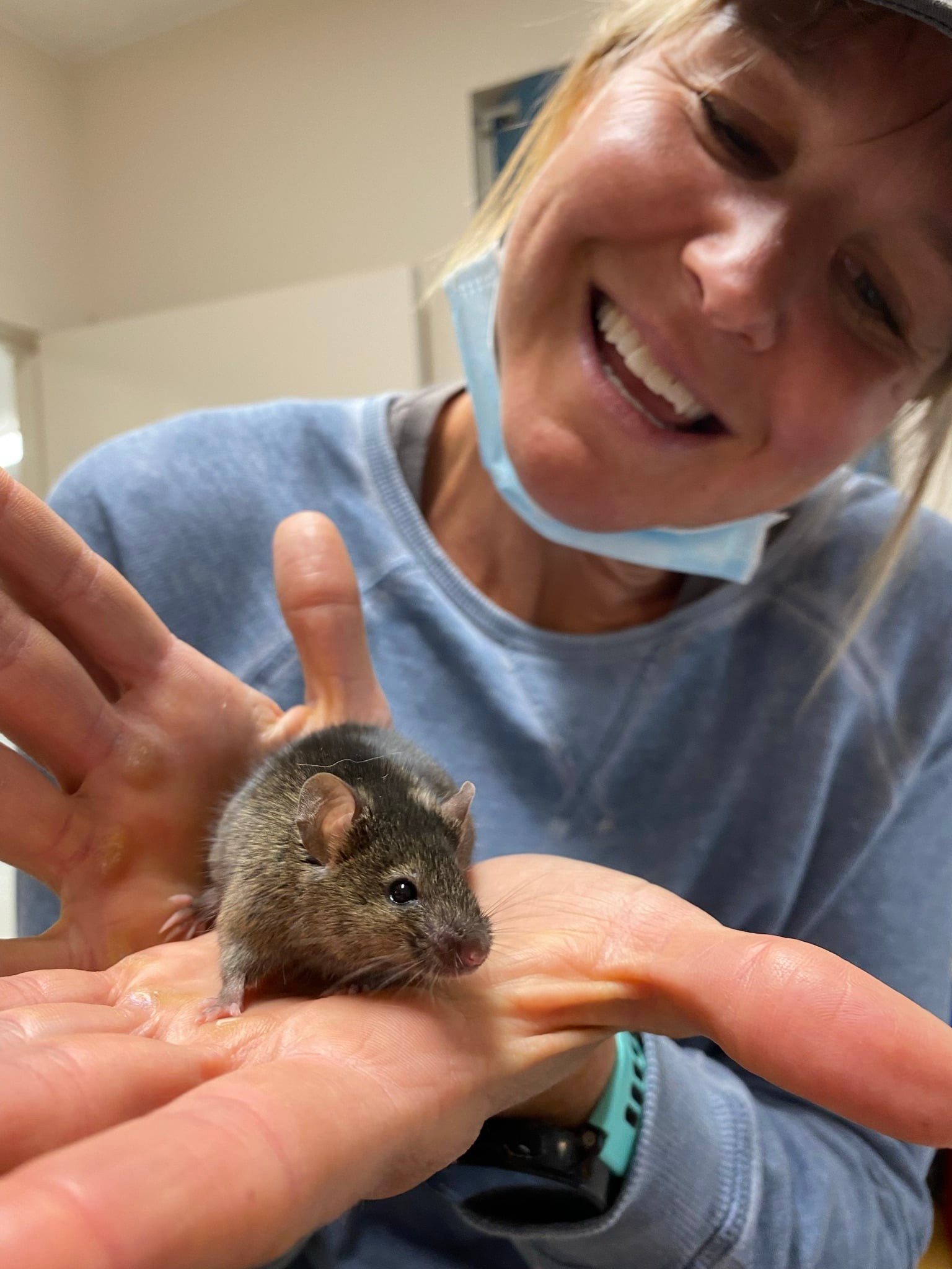 The kissing mouse, short but sweet