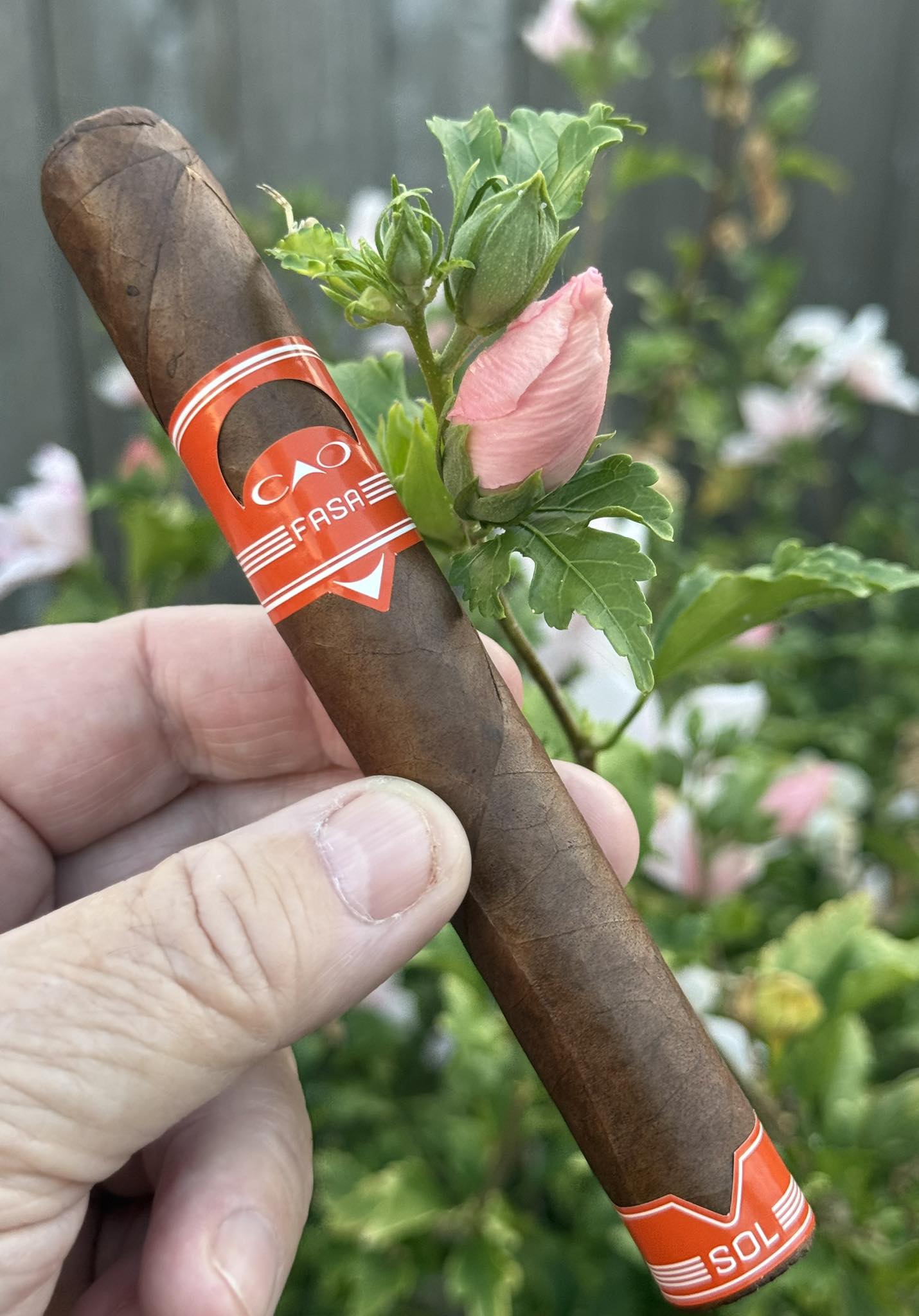 Cigar Filler Region Preferences: Dominican vs Honduran vs Nicaraguan