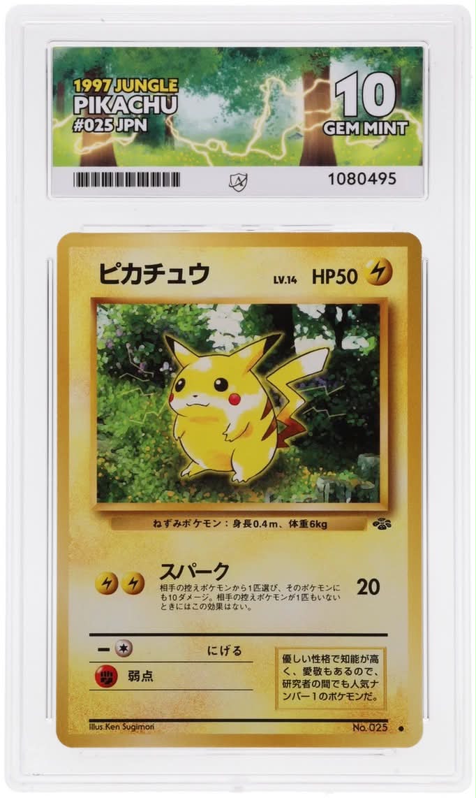 Hiroshima Pikachu 2025 Promo #261/SV-P JPN for sale, graded 10 Gem
