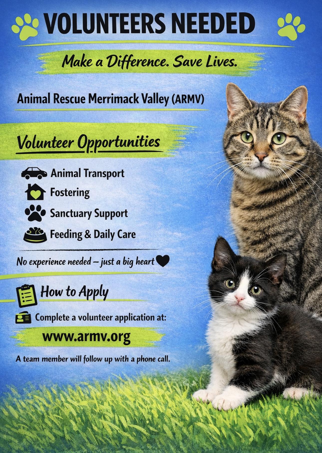 Lawrence, MA | We desperately need help to continue rescuing cats in ...