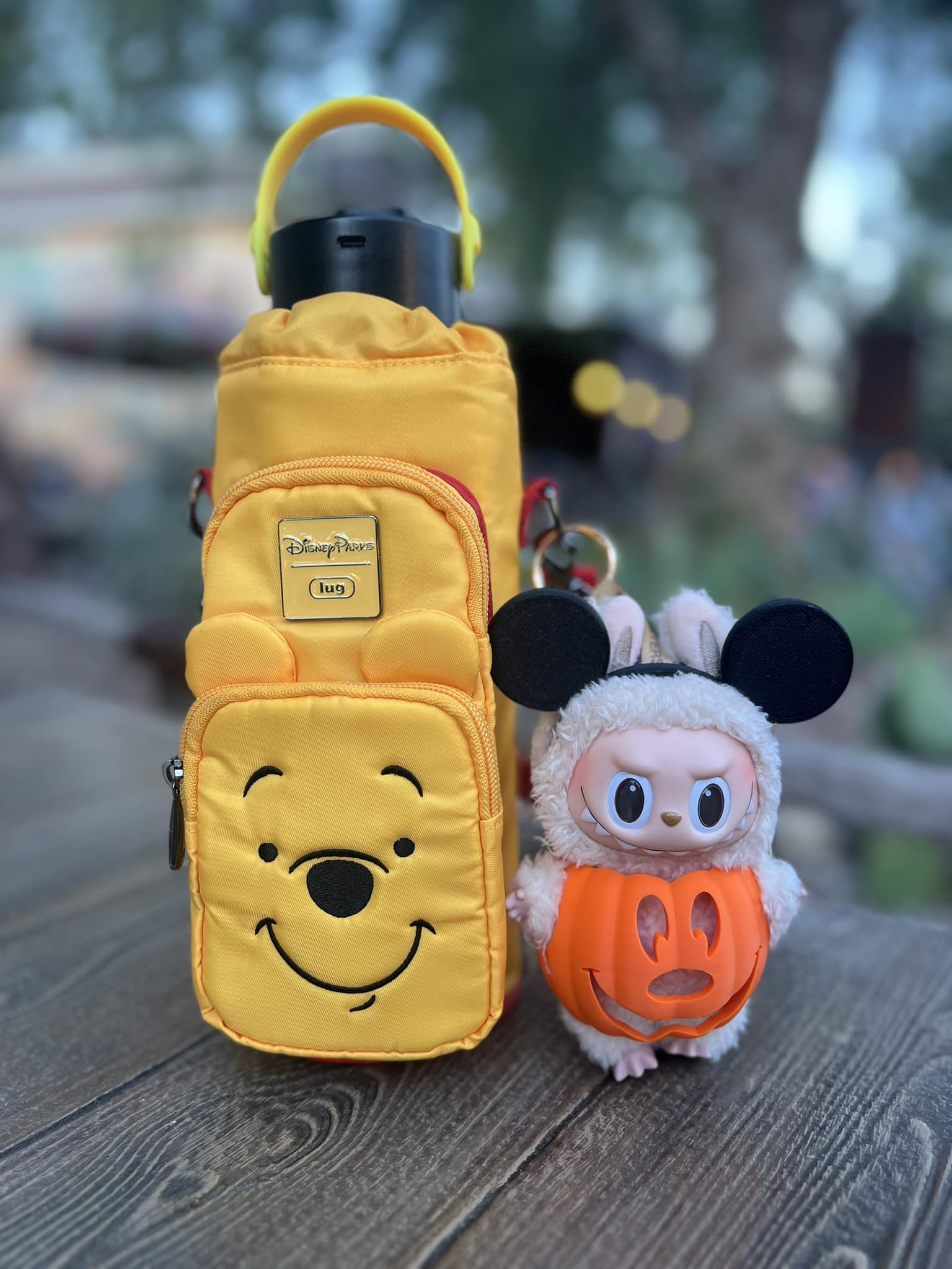 Has anyone seen this Lug Bag at Disneyland ?