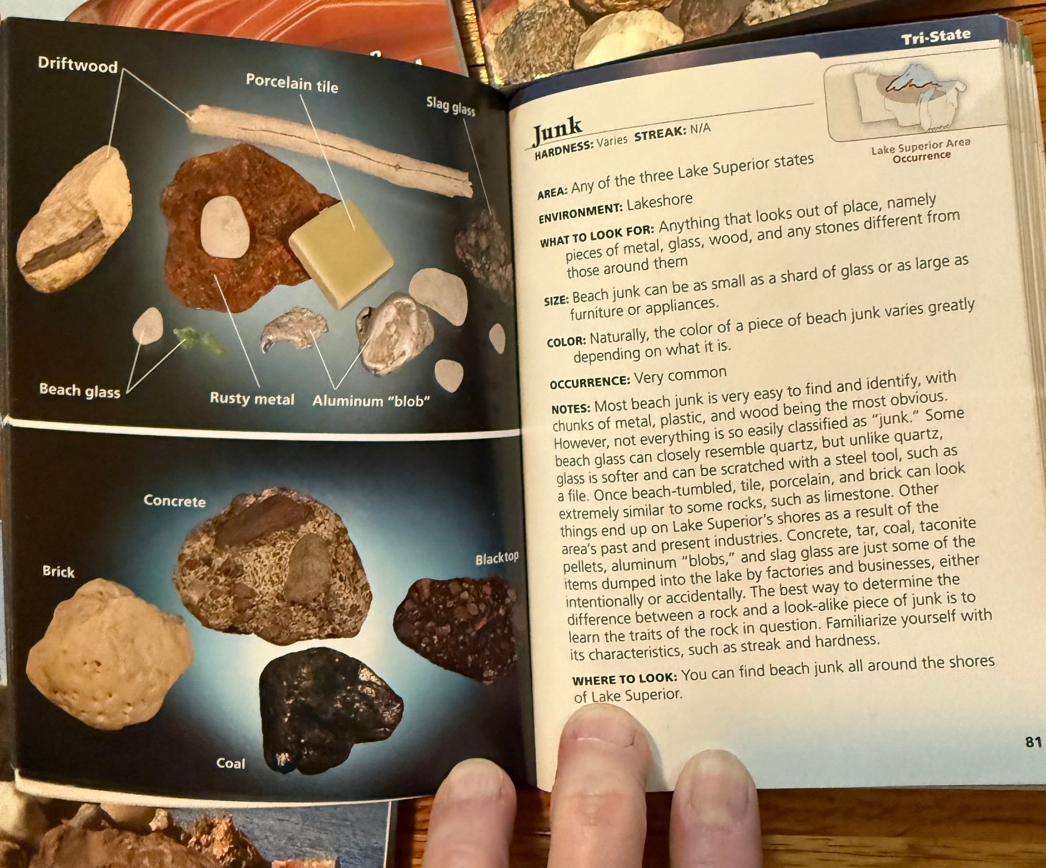 Have frequently found this useful: THE ROCKS BEGIN TO SPEAK, by