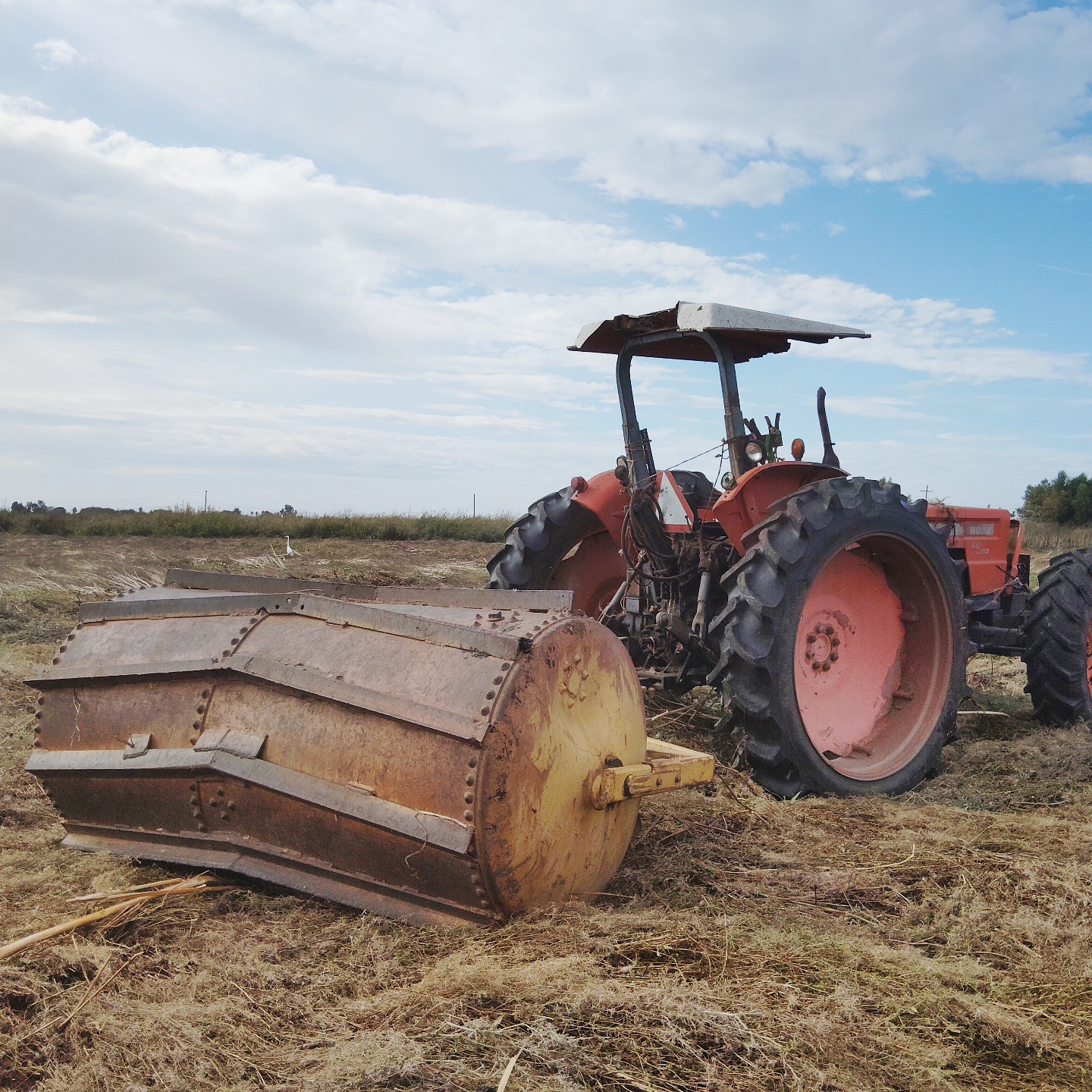 Tim - crimping a field for sandhill crane habitat. a couple of them ...