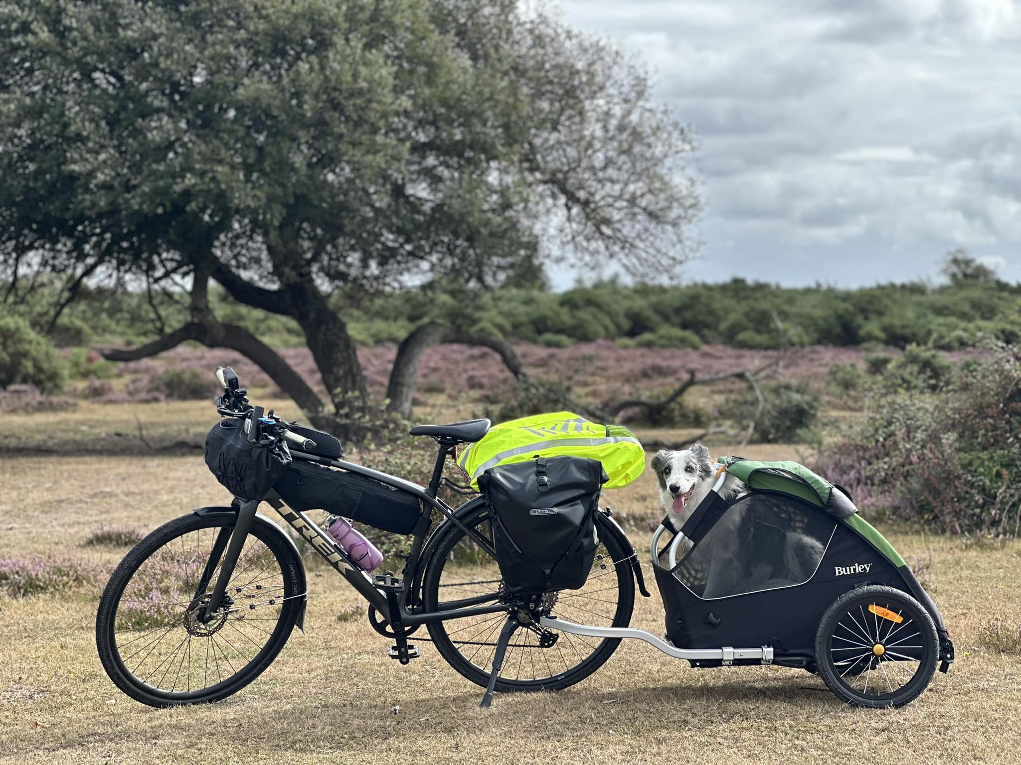 puky fahrrad 14 zoll mit stützräder Stützräderset ROOKIE WHEELS | passend die idealen Stützräder für alle 12' bzw. 14'-18' Fahrräder Cube Reaction Hybrid EX FARBE:GELB-GRÜN pa_ps_Inside_Bag_Height_metric:350 and above