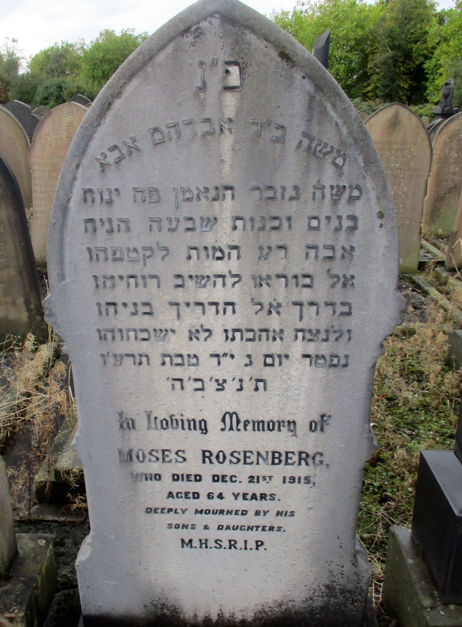 What is the Hebrew name on Moses Rosenberg's tombstone?