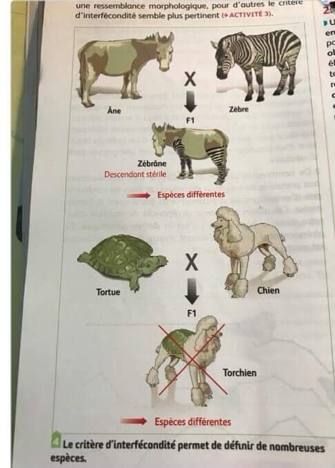 Science Diagrams That Look Like Shitposts - From the official French ...