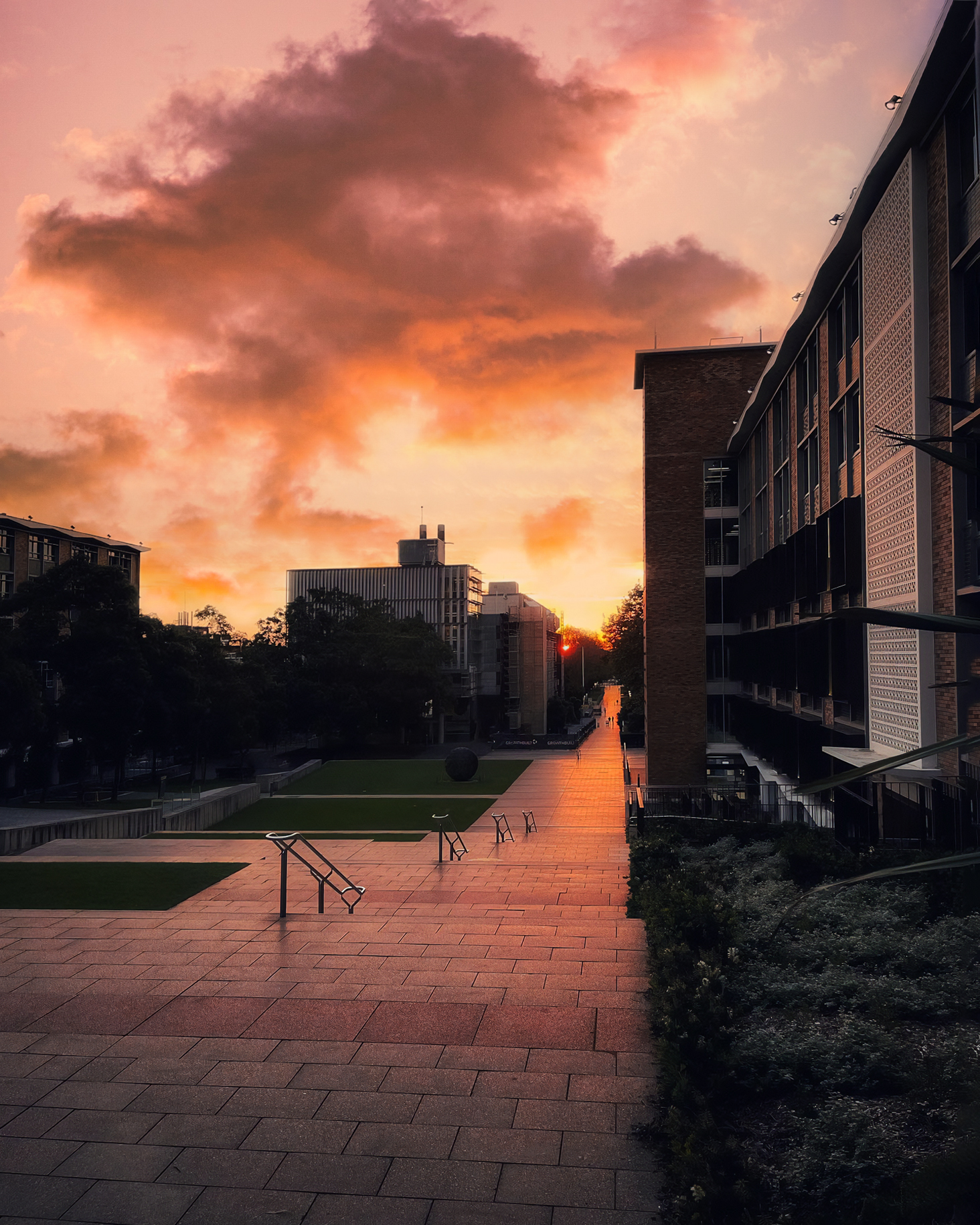 UNSW - Just can't beat these main walkway views! 💛