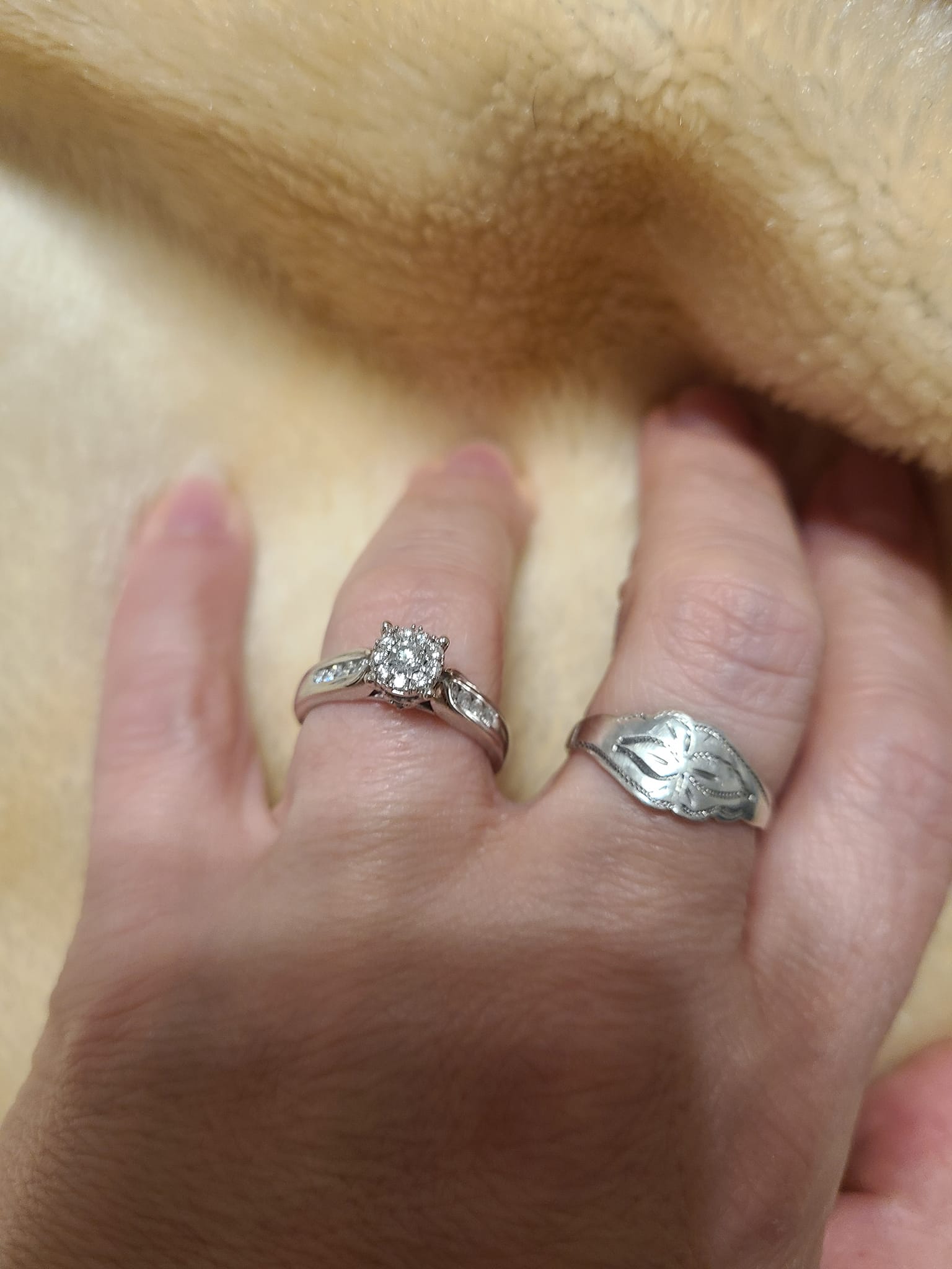 Lost ring on Ginger Trl behind Chardwood Dr