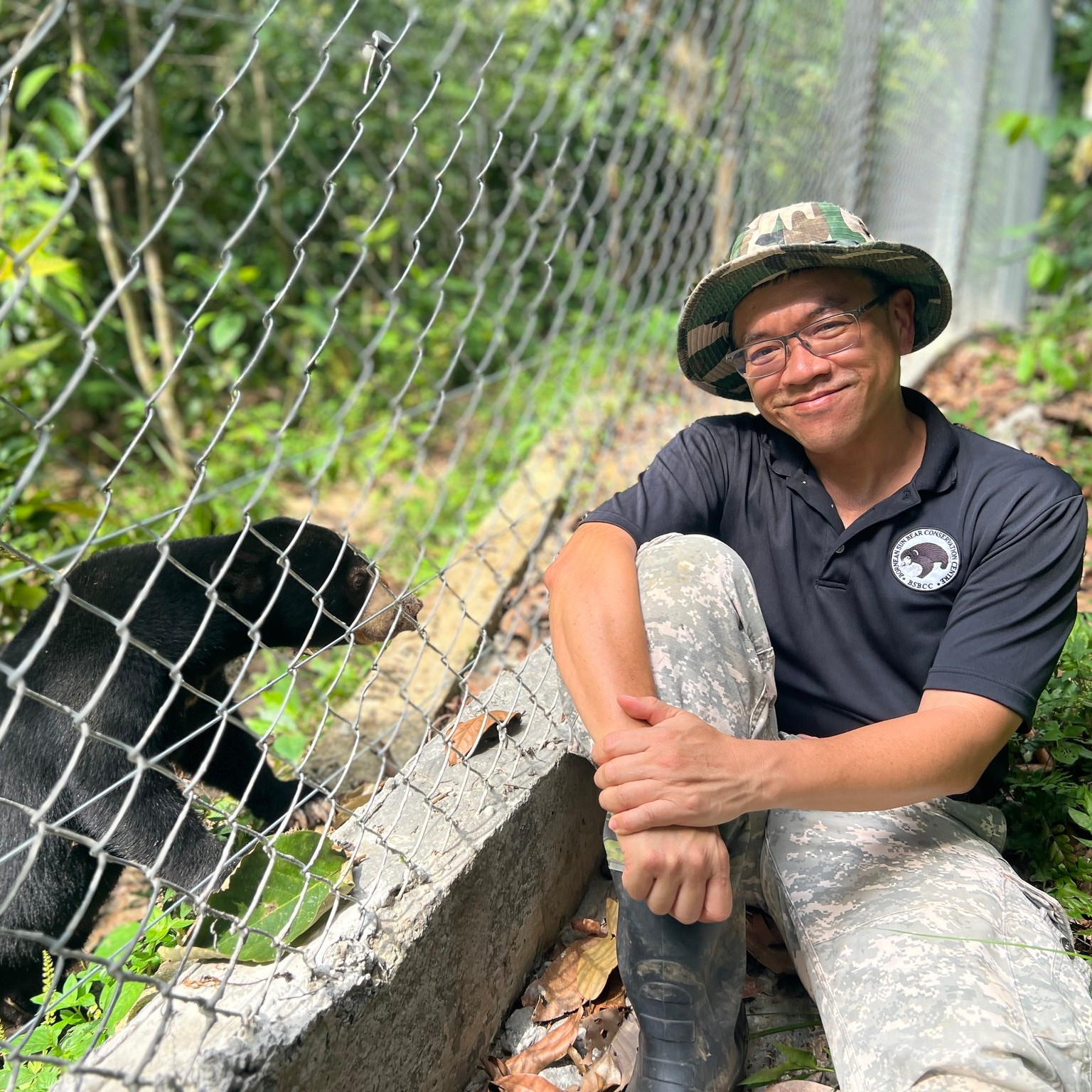 This is how a sun bear climb down from a tree! Butt first! 🤭 Bornean ...