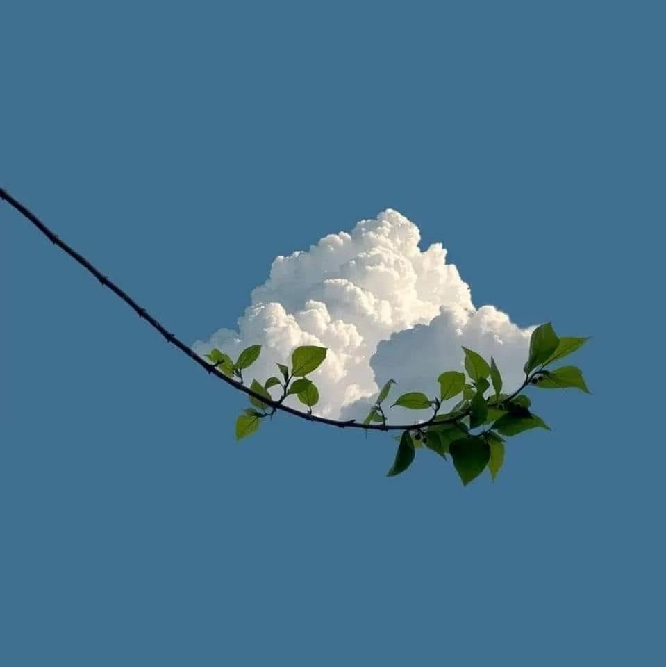 Noha Raslan