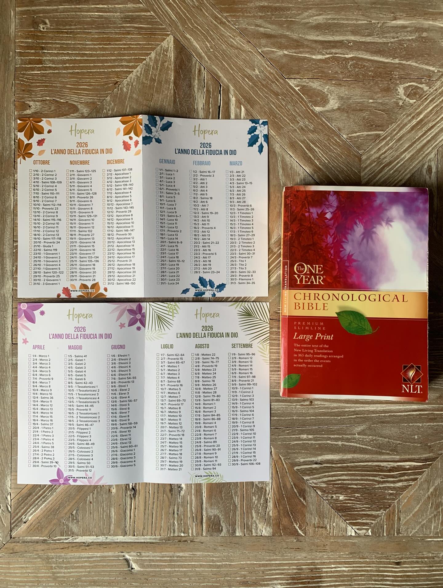 René - Looking forward to an awesome 2026?🤸🏻‍♂️🎇 I loved reading the ...