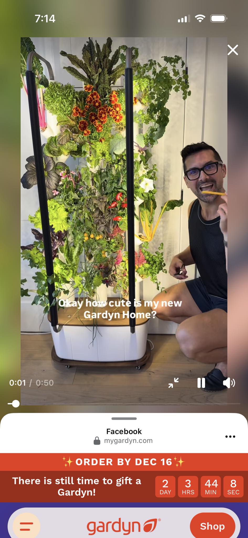 St Cloud Rants and Raves | Anyone have an indoor hydroponics system for ...