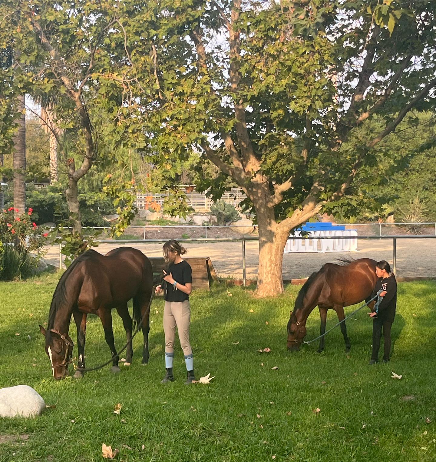 Hansen Dam Riding School | Lake View Terrace CA