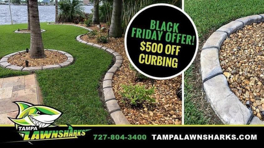 Tampa Tree Sharks | Saint Petersburg FL