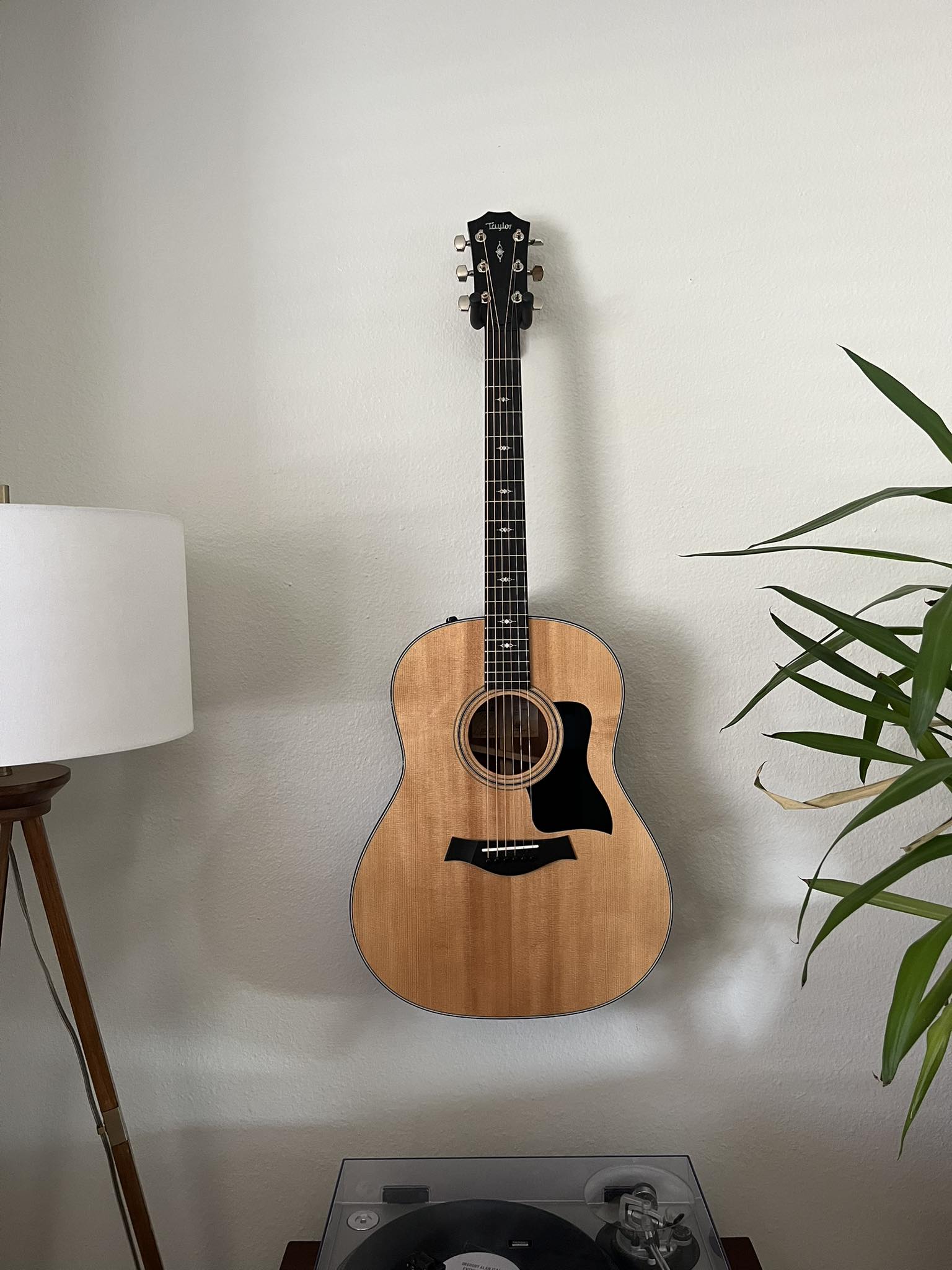 Thoughts on discontinued 317e guitar model?
