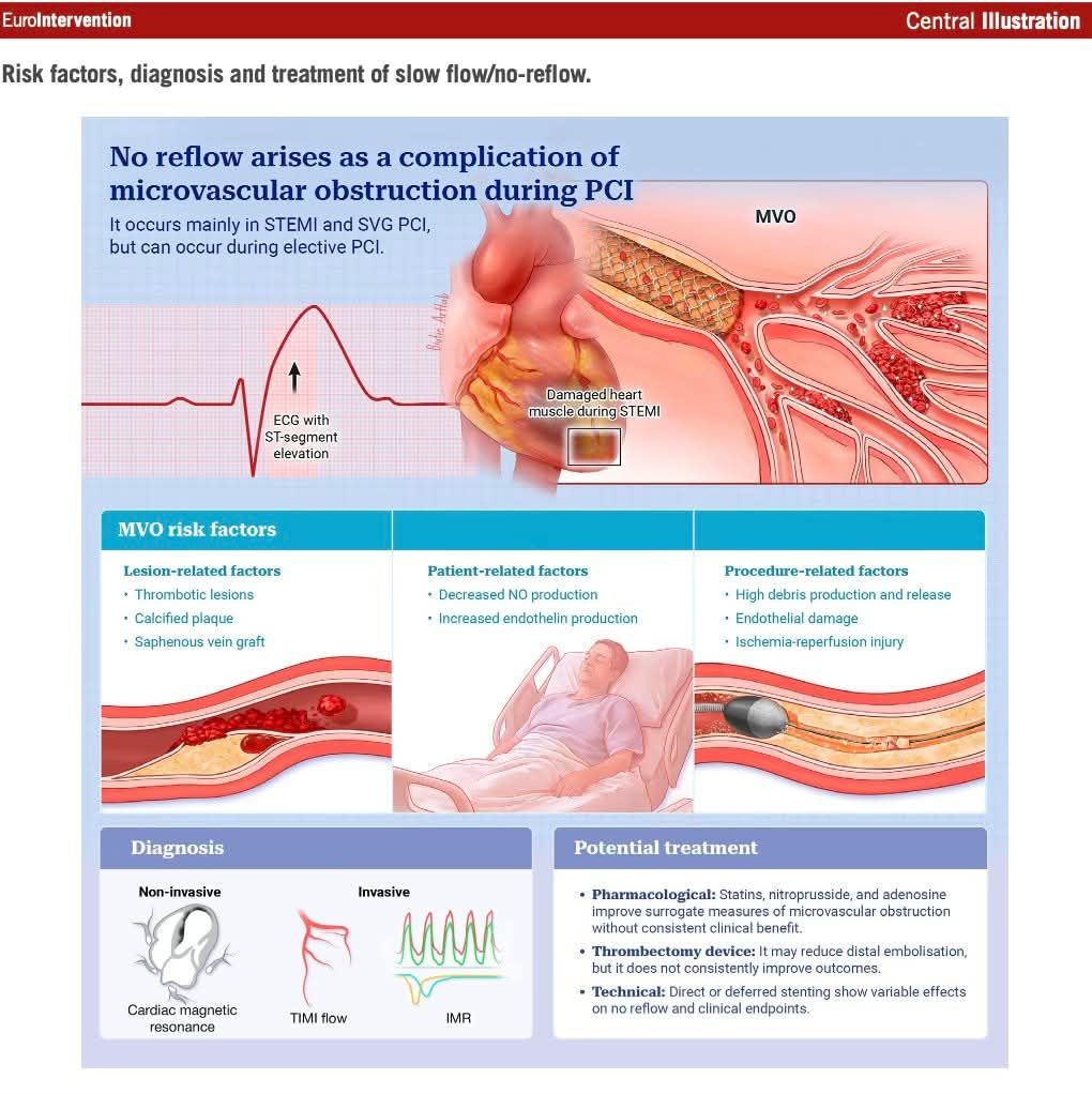 semaglutide vs tirzepatide cardiovascular how does work for inflammation vs. weight loss—what's the difference? 🤔Both have Tirzepatide for Weight Loss (Fat – tirzepatide vs semaglutide cardiovascular Semaglutide.