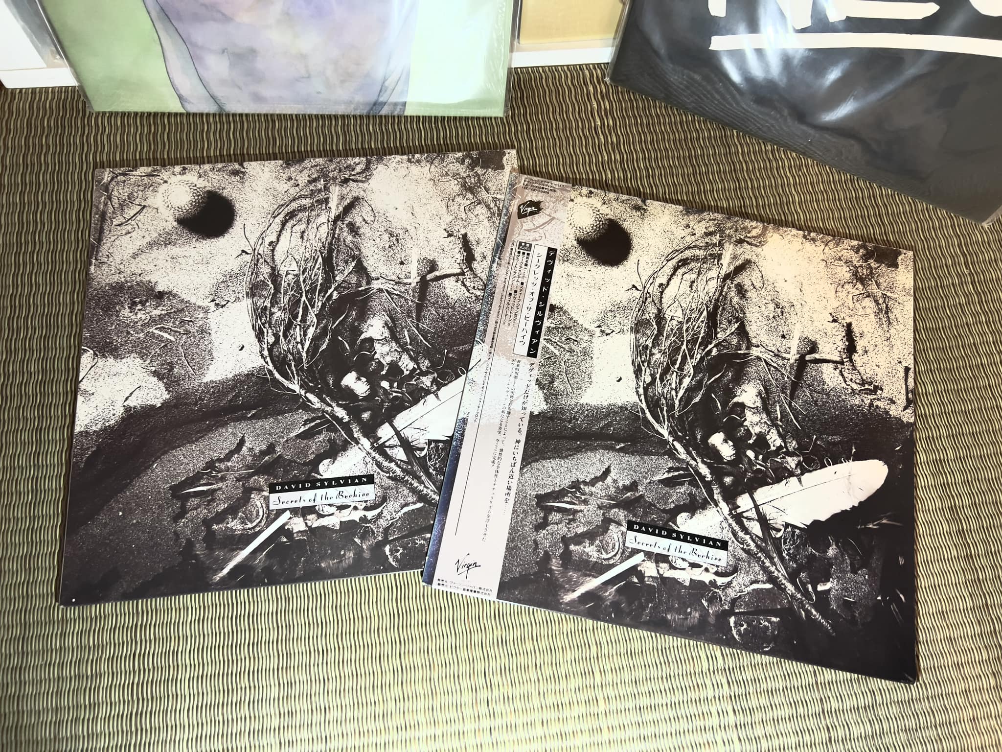 David Sylvian's Secrets of the Beehive album