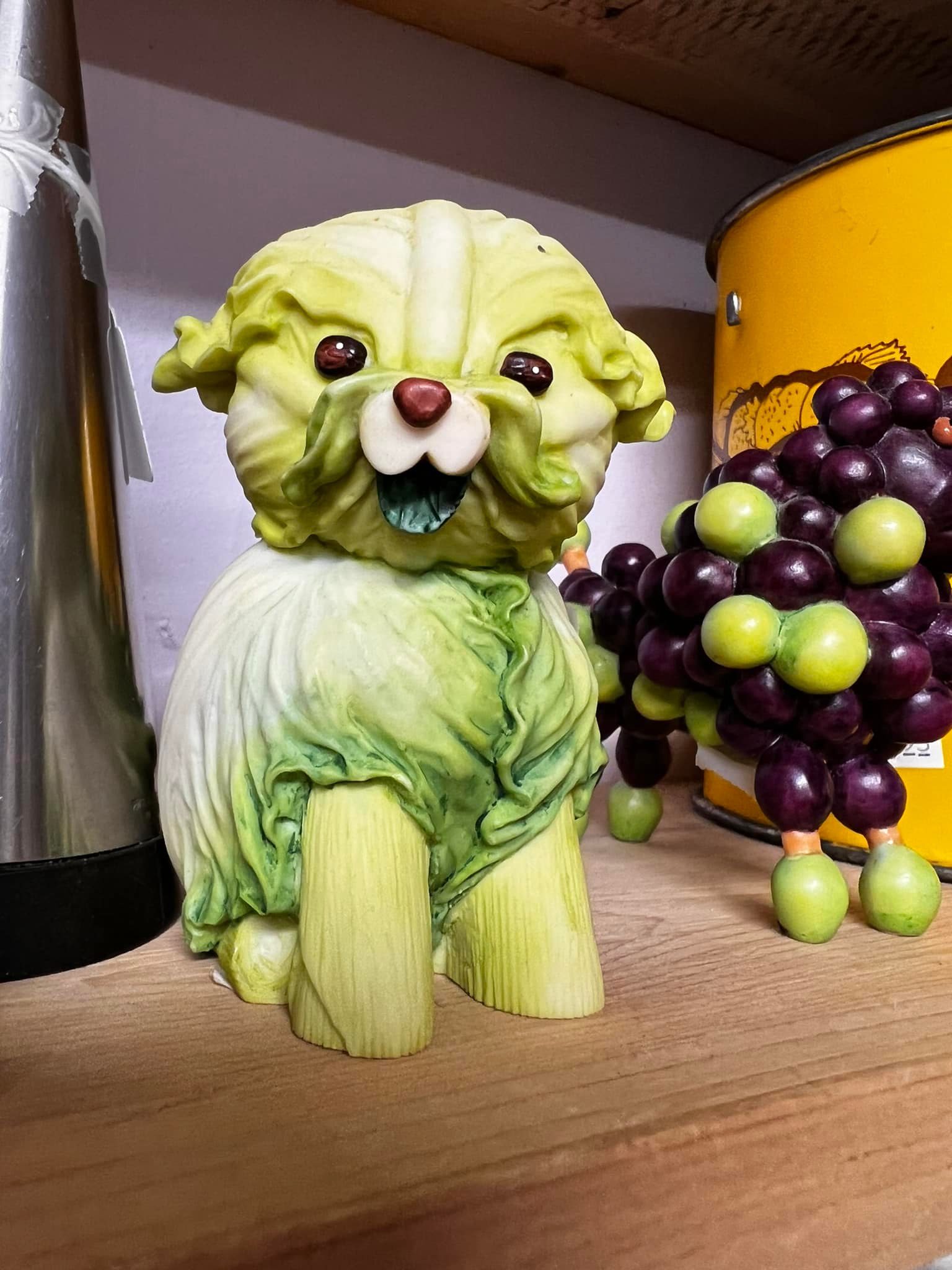 Finding a cabbage dog at a secondhand store