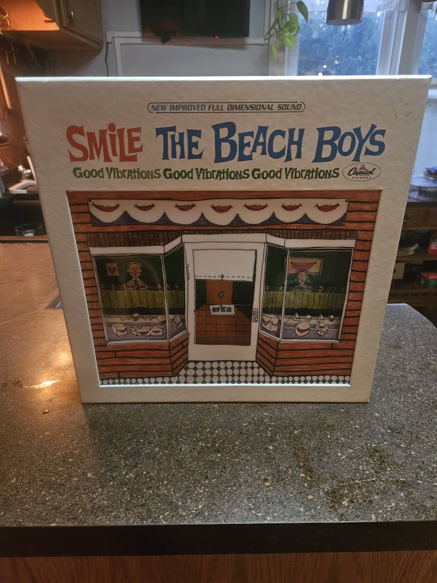 Beach Boys Smile Sessions 2LP 2011 The Beach Boys - Smile (Vinyl