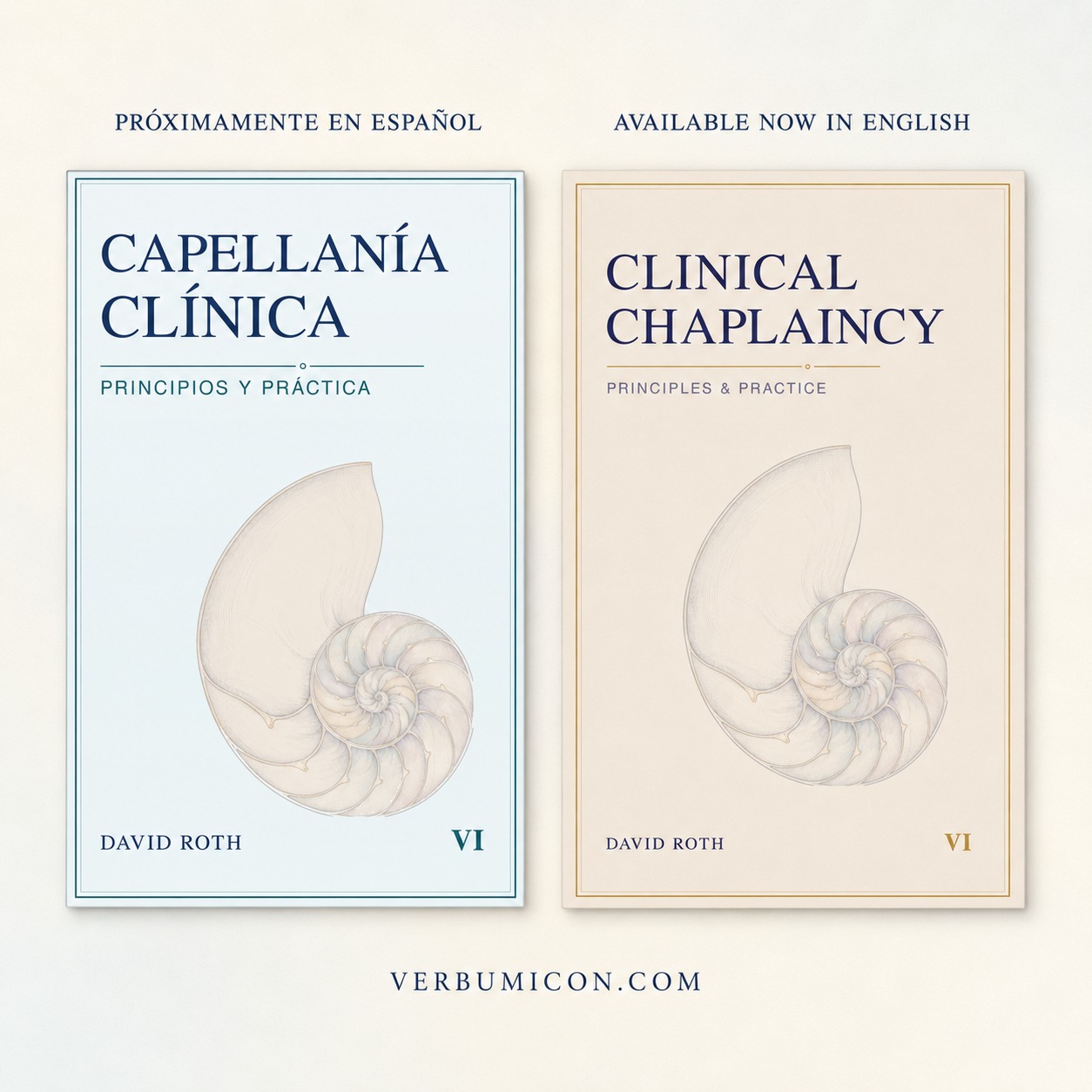 Clinical Chaplaincy: Principles and Practice book pre-sales surge