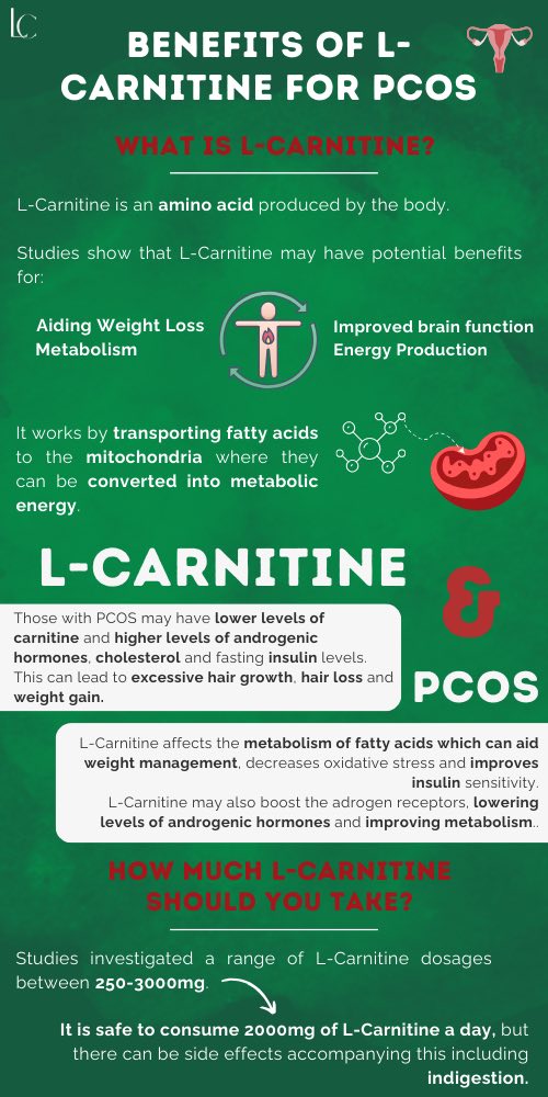 berberine and l carnitine together side effects What are experiences with L-Carnitine for PCOS? Bigjoy Sports Thermonator Karnitin sas:10-off Size:1.7 oz