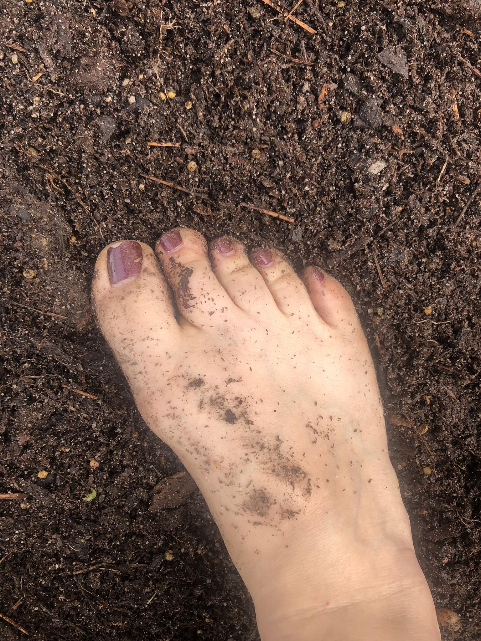 Gardening barefoot benefits health and mood