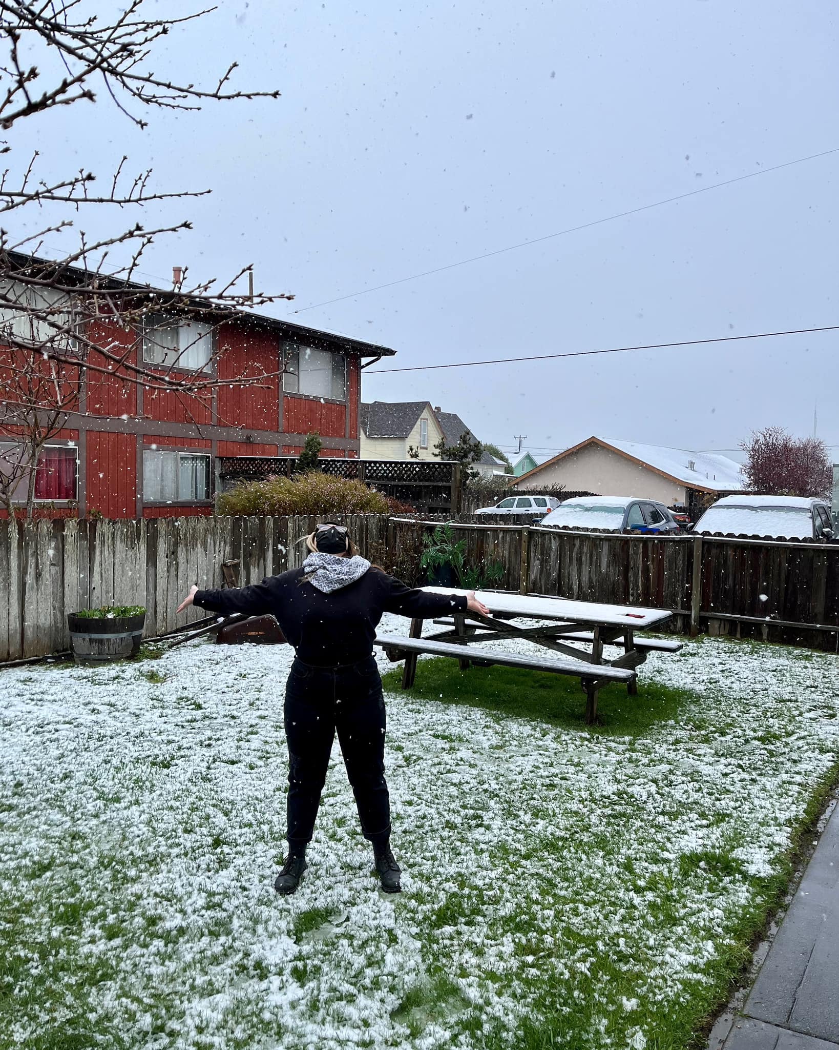 The RAVEN - ️☃️Yesterday was a very rare snowy day in Eureka! Stay warm ...
