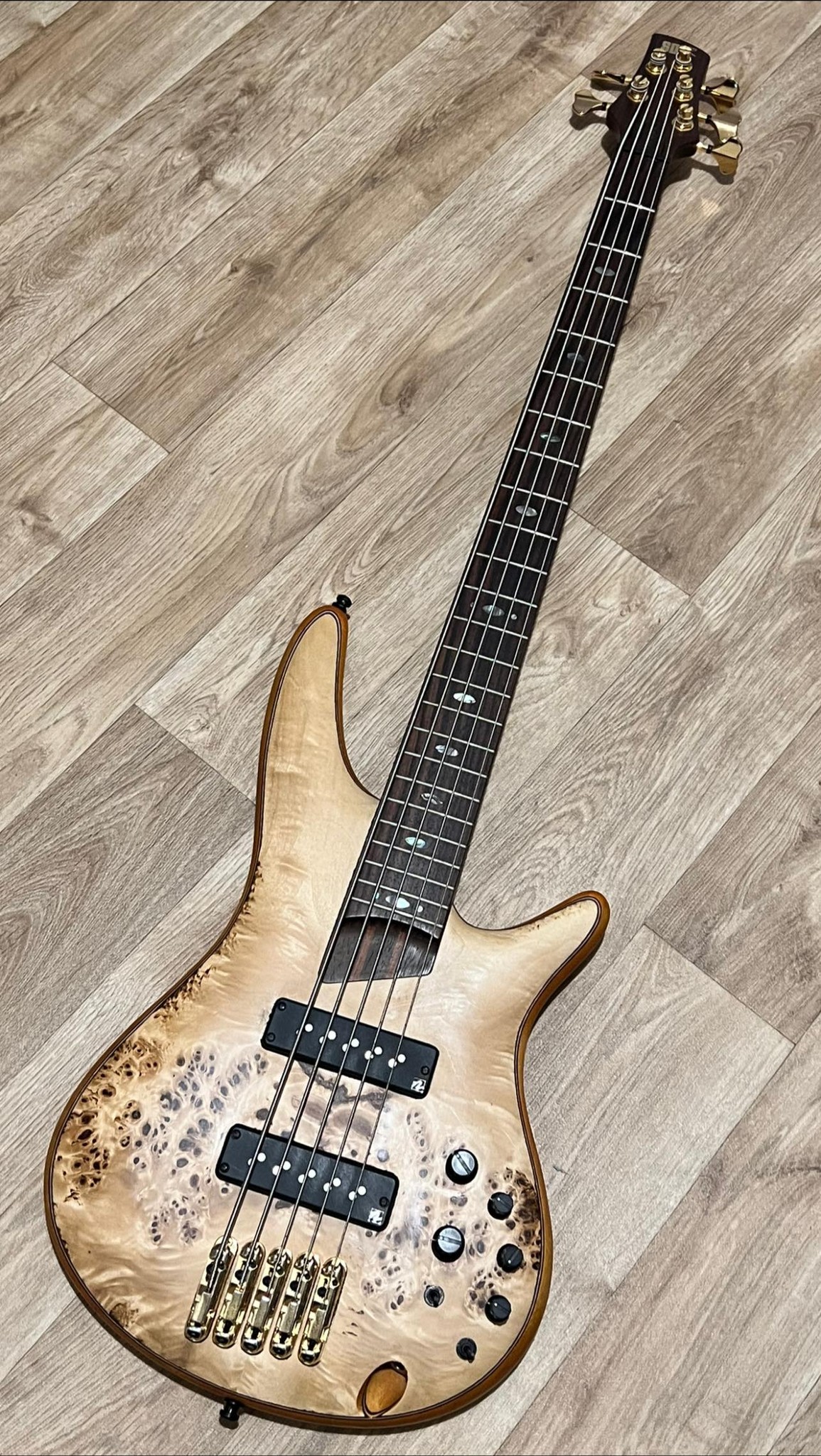 Ibanez SR1305 bass guitar review and comparison to K5 model