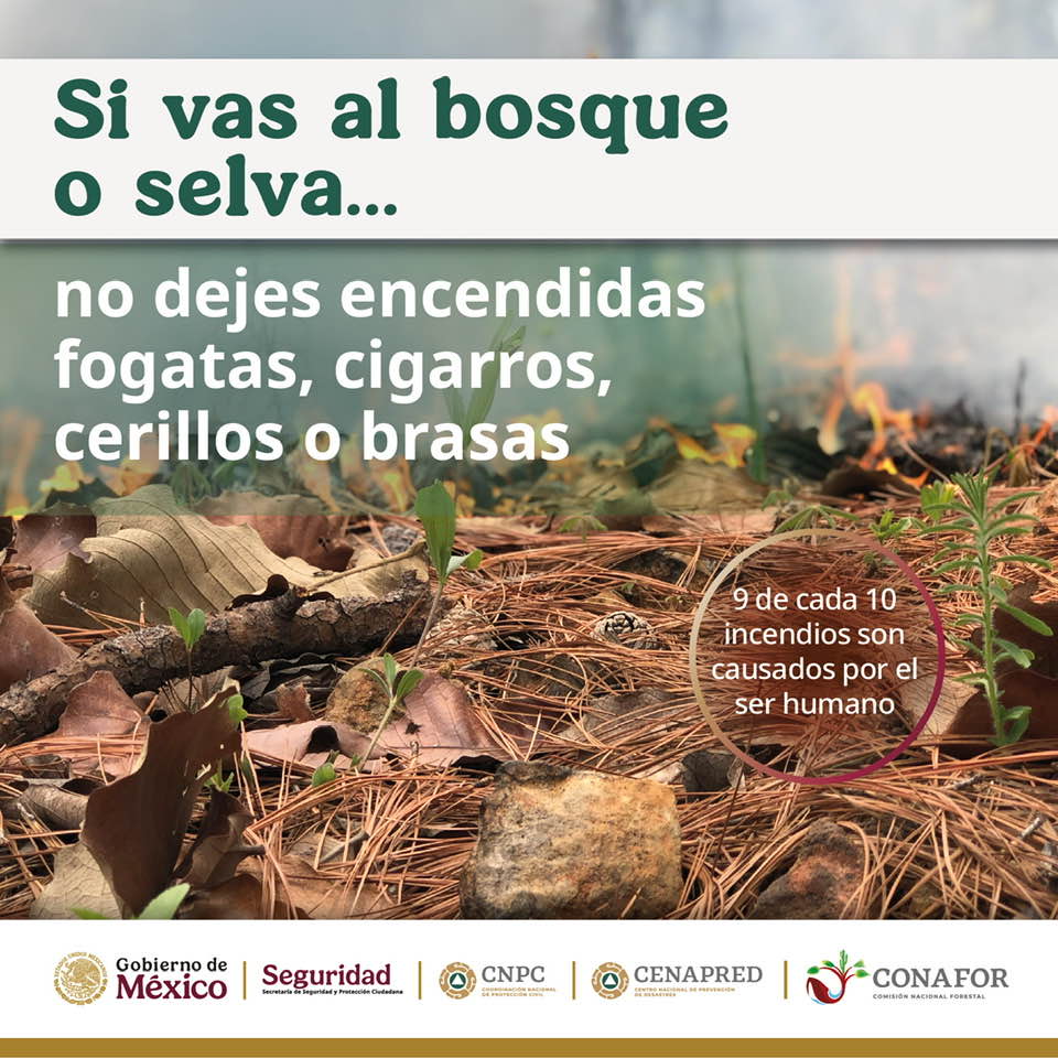 ⚠️Al... - Coordinación Nacional de Protección Civil | Facebook