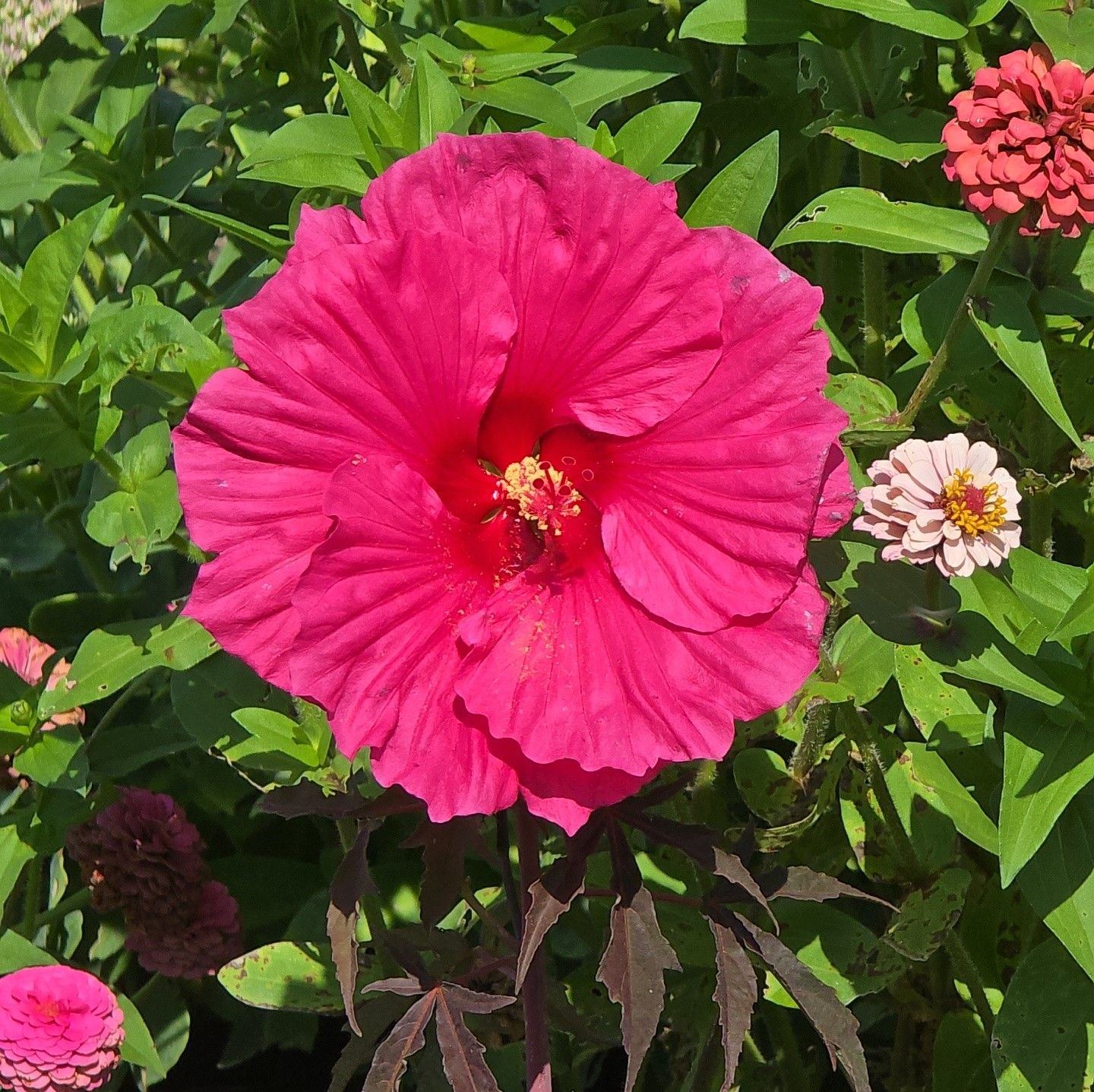 Exceptional Homes & Gardens Too | Pretty porch pot to get you through ...