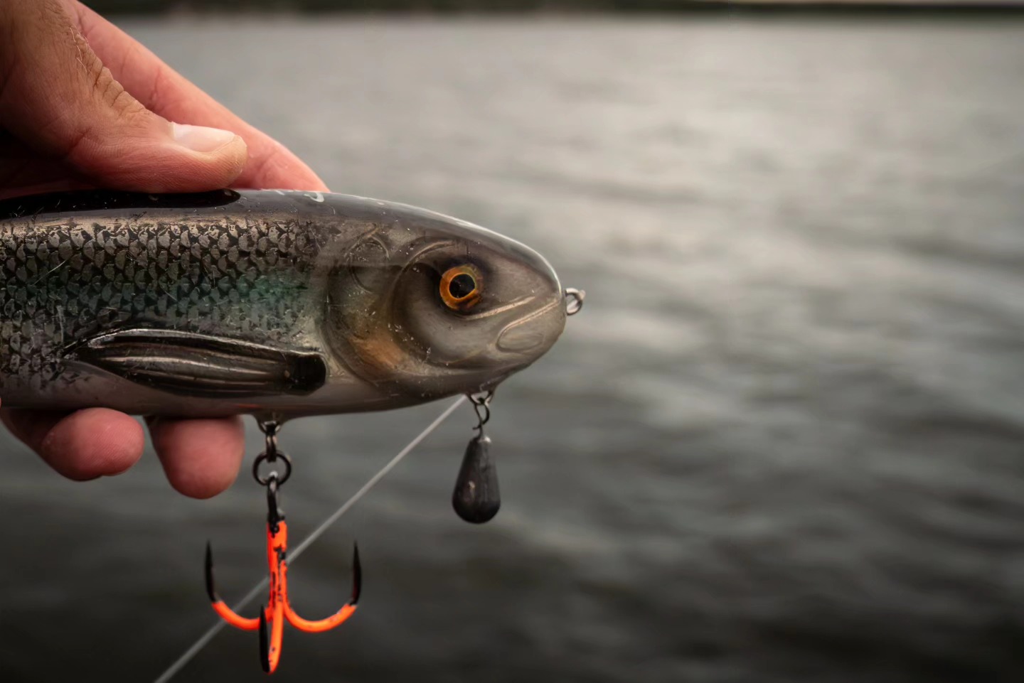 conventional fishing rod reel combos Wild Combo 7'10