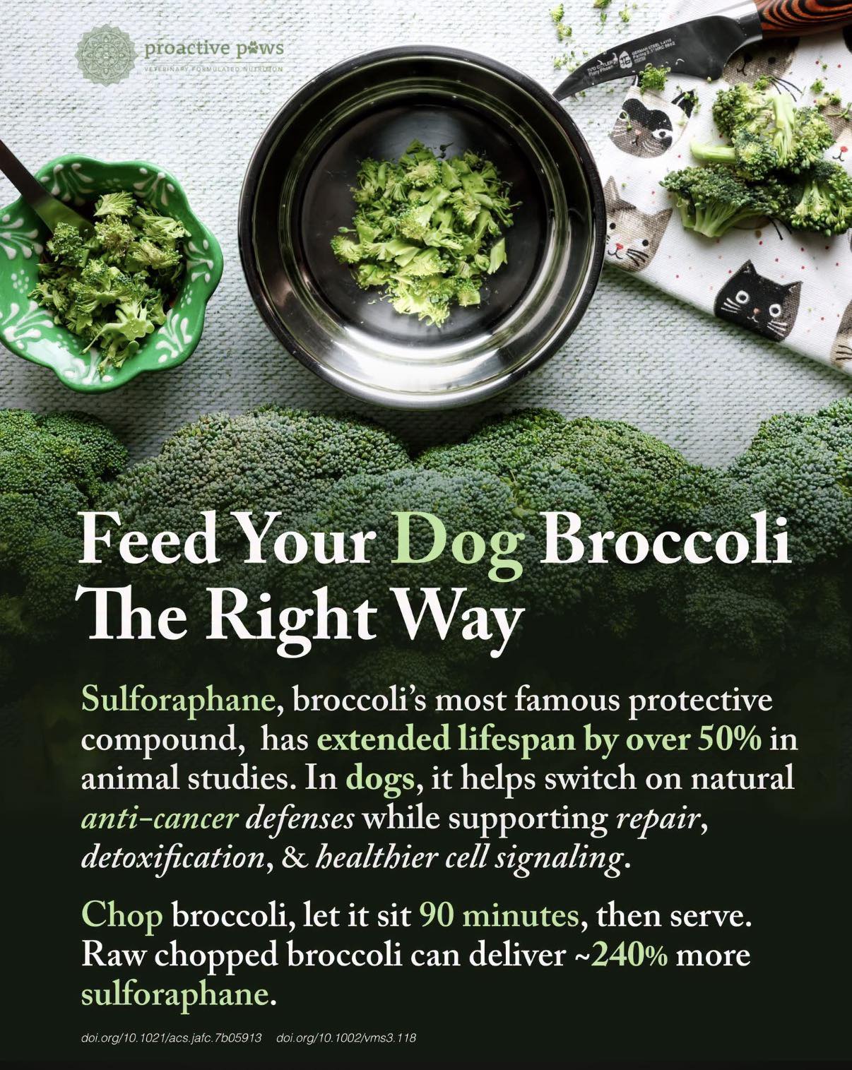 🥦 RESEARCH SUGGESTS BROCCOLI MAY BE ONE OF THE MOST POWERFUL LONGEVITY FOODS YOU CAN ADD TO YOUR DOG'S BOWL.🐾 Broccoli is one of nature's richest sources of sulforaphane, a remarkable plant