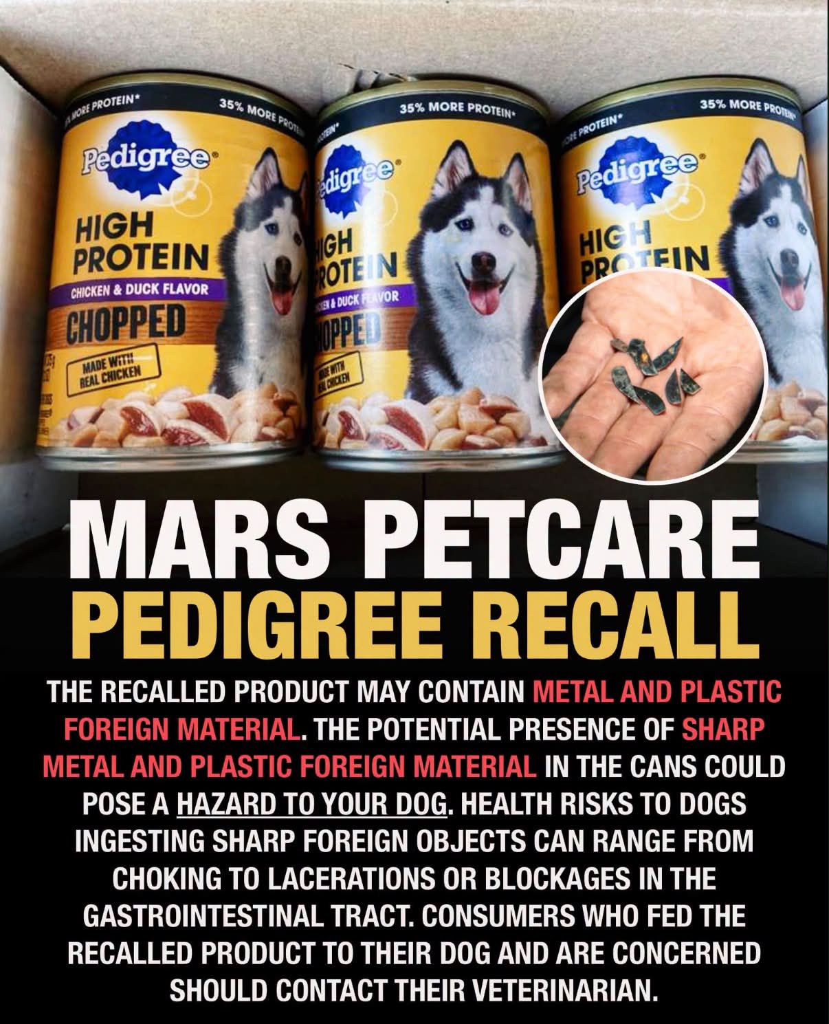 Mars Petcare has recalled two lots of Pedigree canned wet dog food