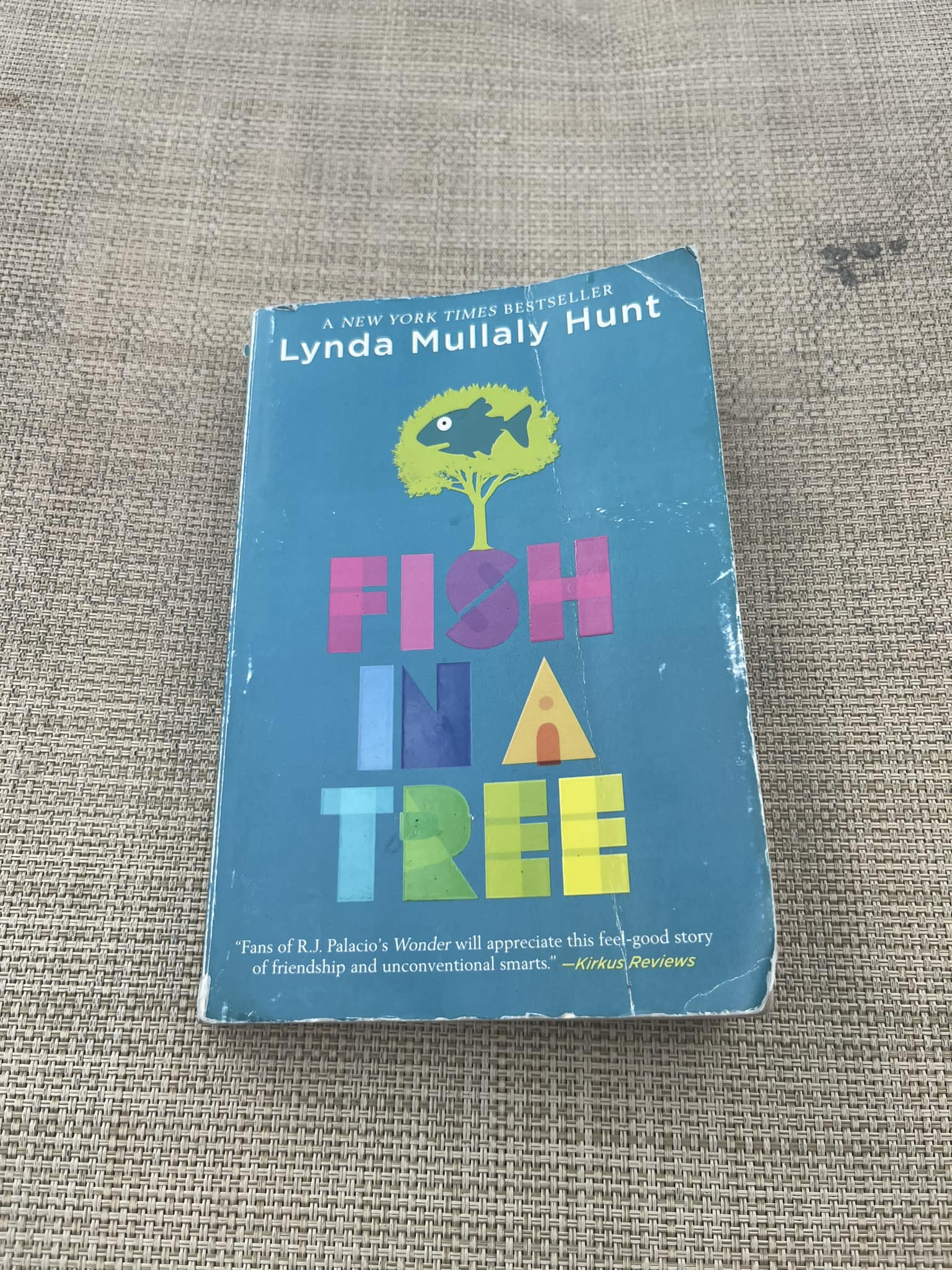 Fish in a Tree Summary: Ally's Inspiring Story & Lessons