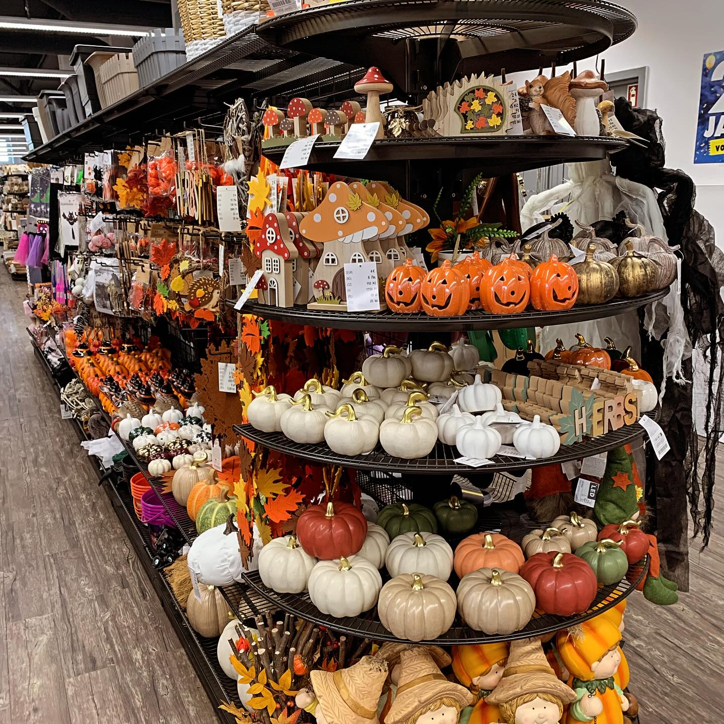 20 Jahre Tedi #bastelmaterial #dekoration #herbstdekoration #sommer #einkaufszentrum #geschenkideen #haushaltswaren #kerzen #spielzeug #schuldbedarf #auswahl #günstig @tedi.deutschland #shopping #shoppingcenter #neubrandenburg #montag #neuewoche