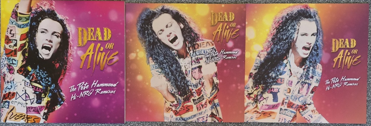 Dead or Alive Pete Hammond Hi-NRG remixes limited edition double LP