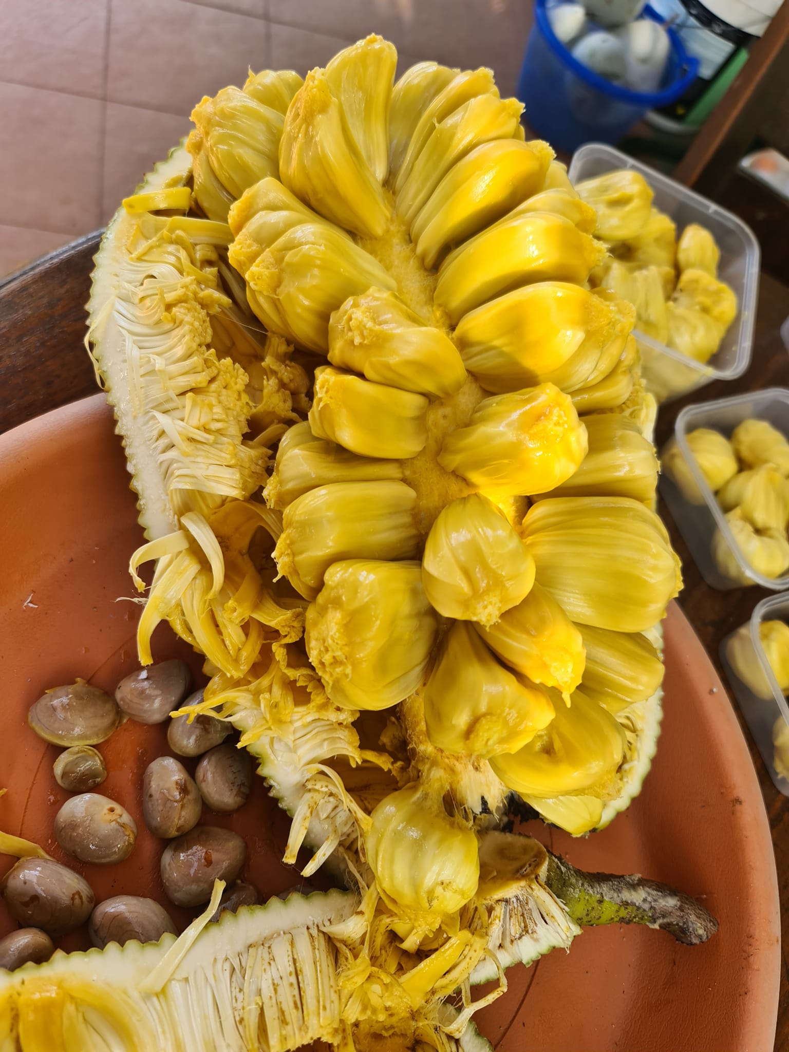 Not sure about cempedak yetthis one was maybe over ripe?