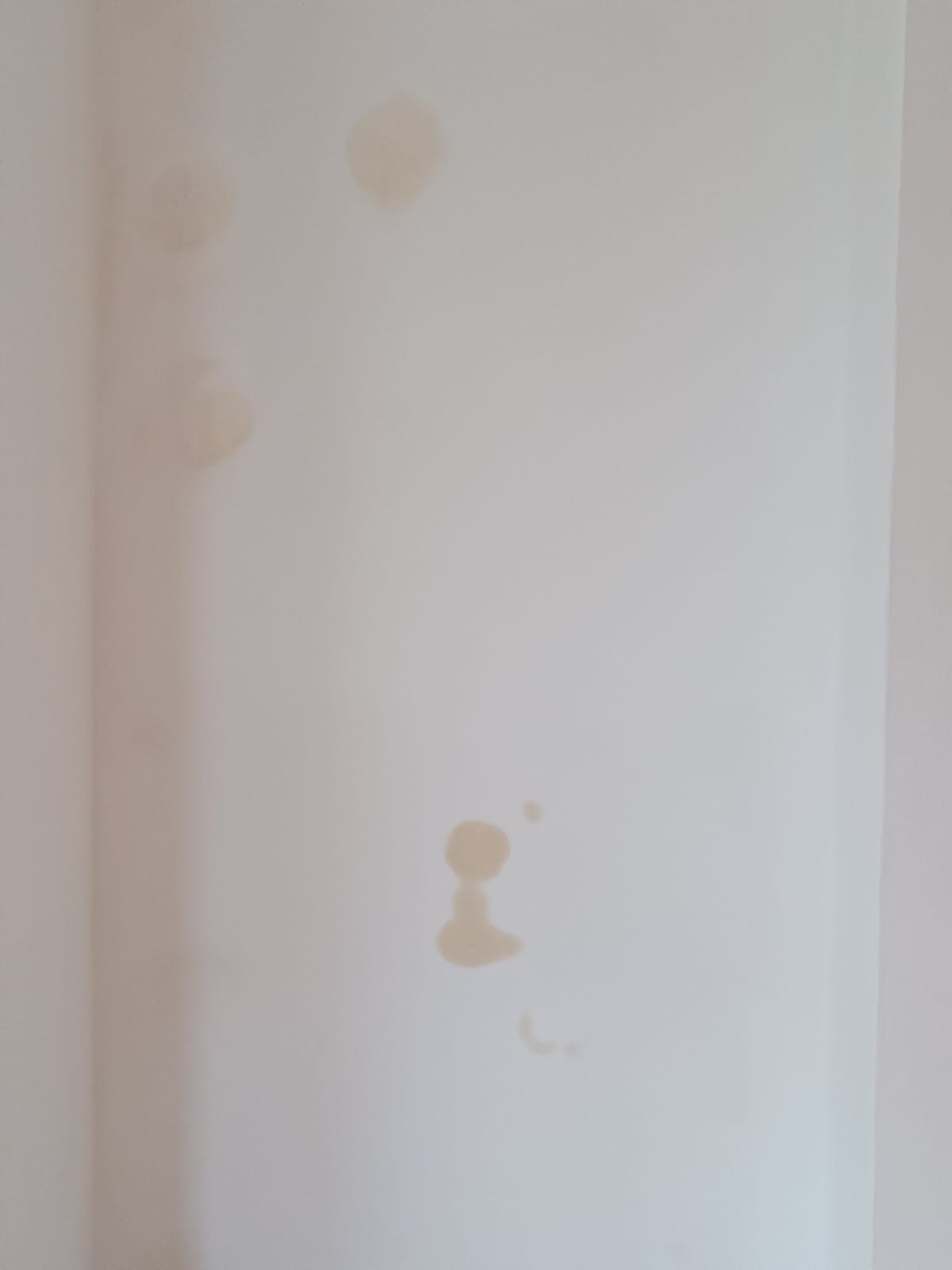 any idea where these spot are coming from ?