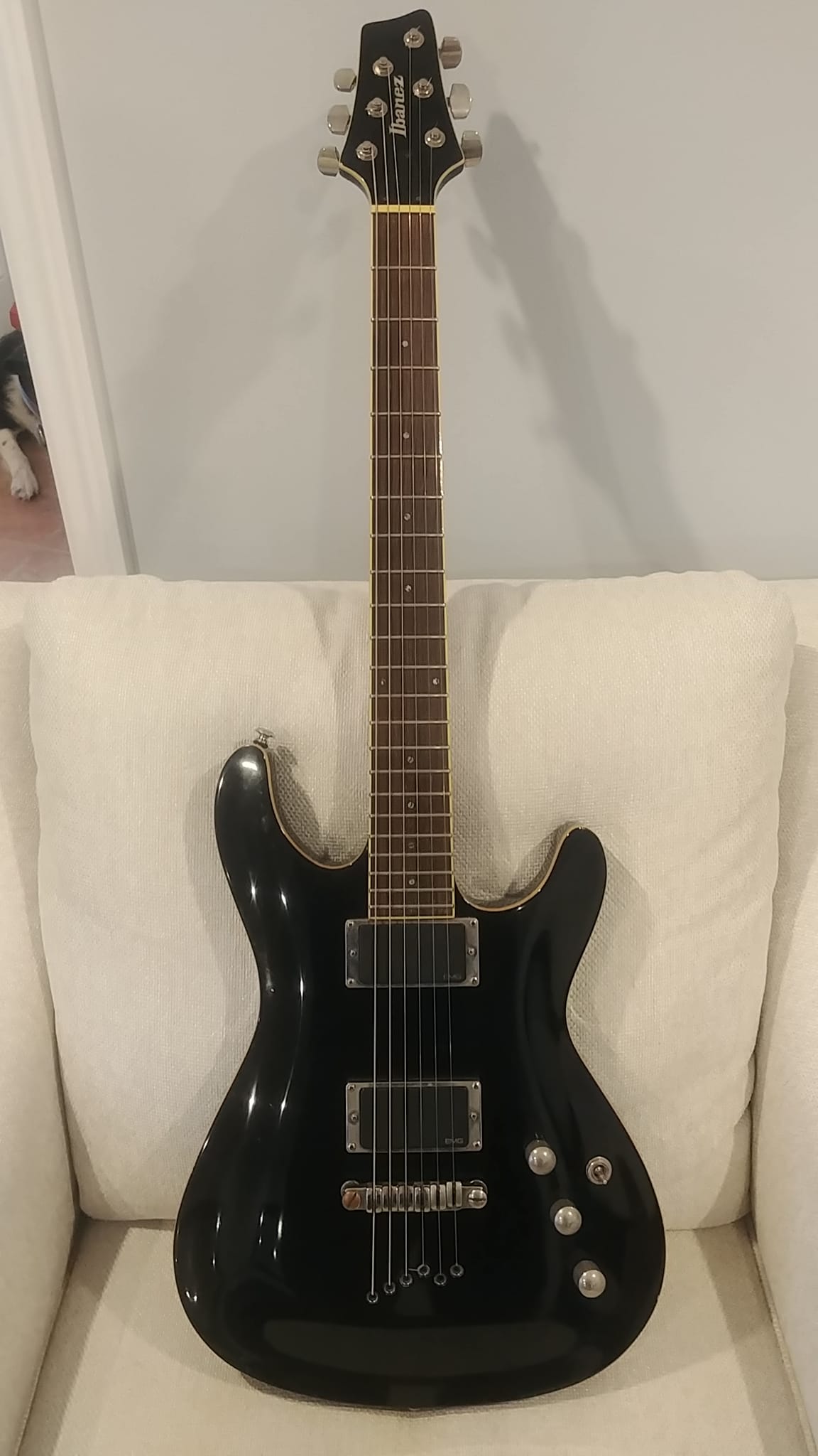 Information about Ibanez Z Silver Cadet 350 guitar?
