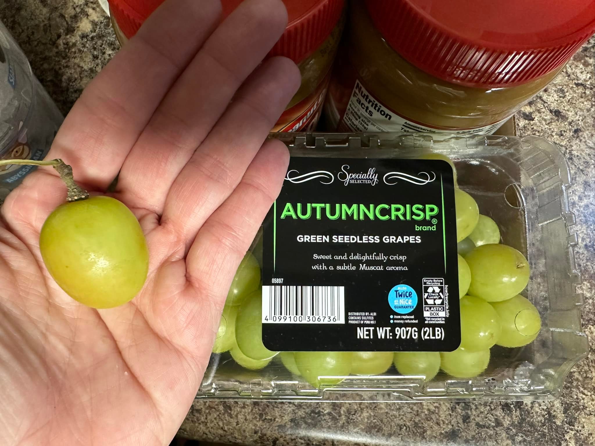 Y'all these Aldi grapes are huge & so delicious 🤤 we found them