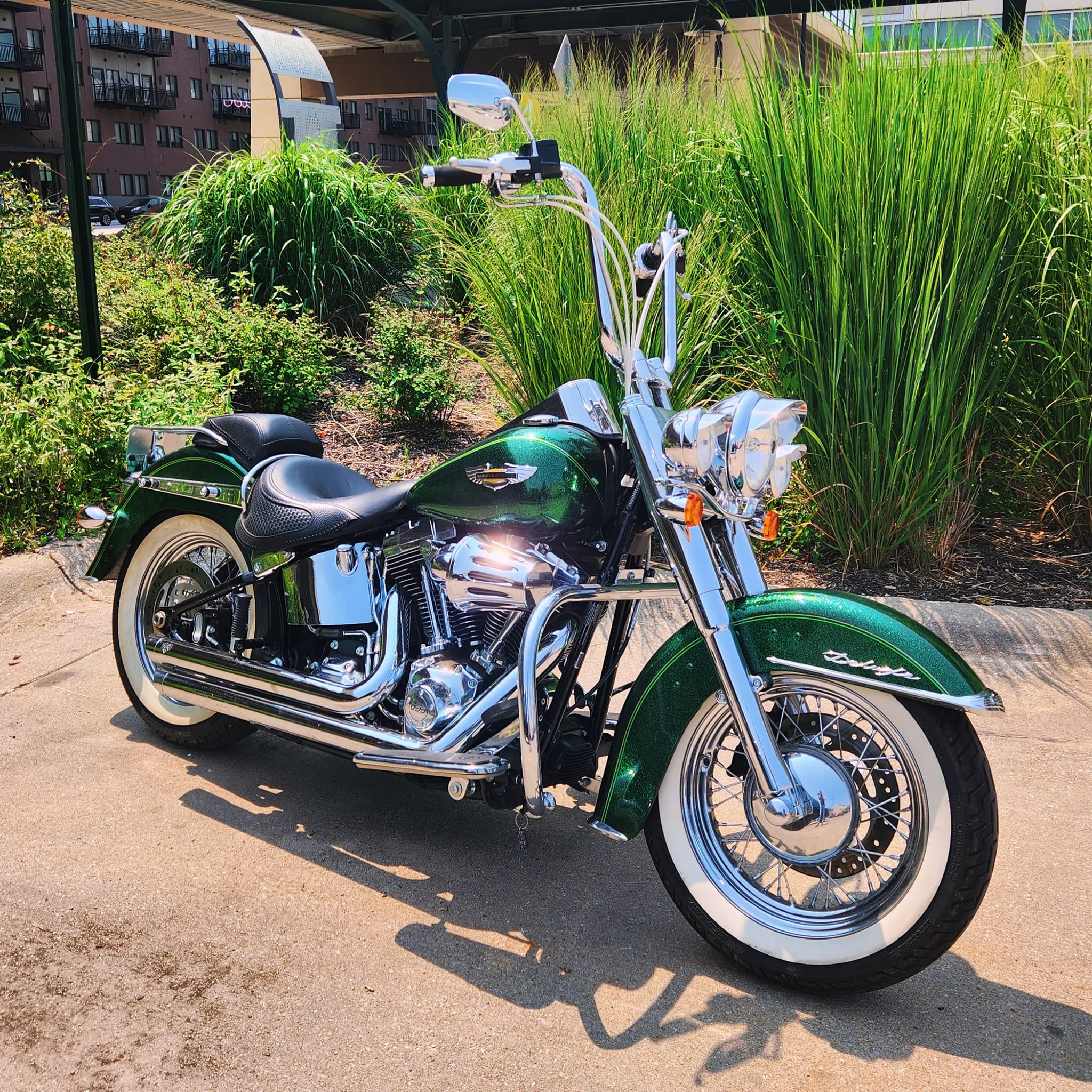 Adam's new 2013 Harley-Davidson Softail Deluxe in Lucky Green Flake