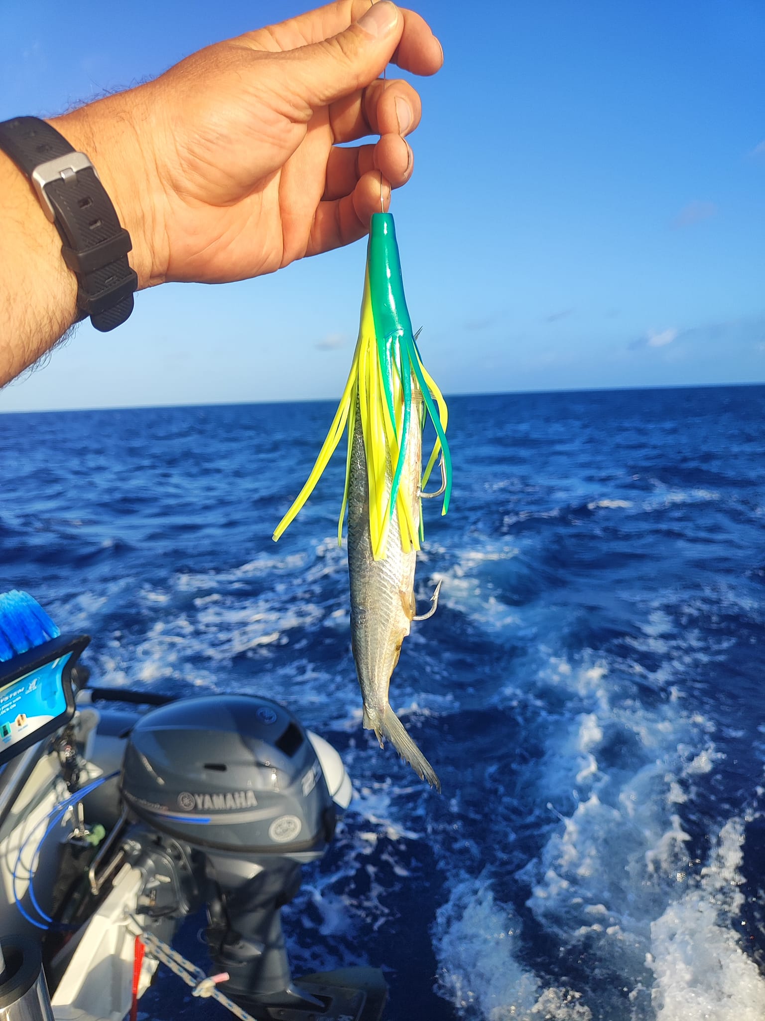 bahamas fishing lures TO CABO WAHOO SALTWATER LURE COMBO 6-PACK RIGGED engineered by BahamaLure Ballyhoo fishing trick works in