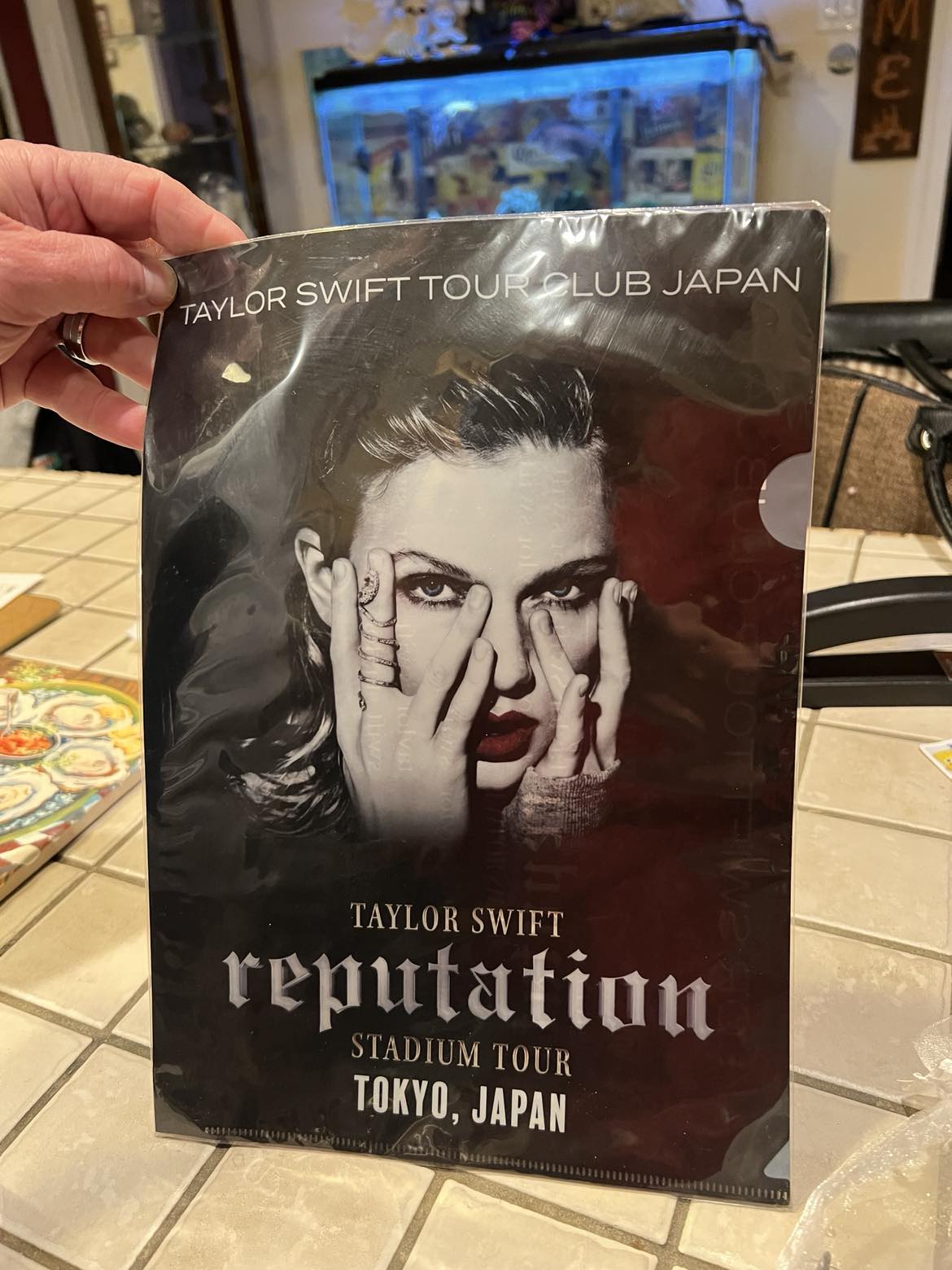 Taylor Swift Reputation Stadium Tour VIP box found at antique shop