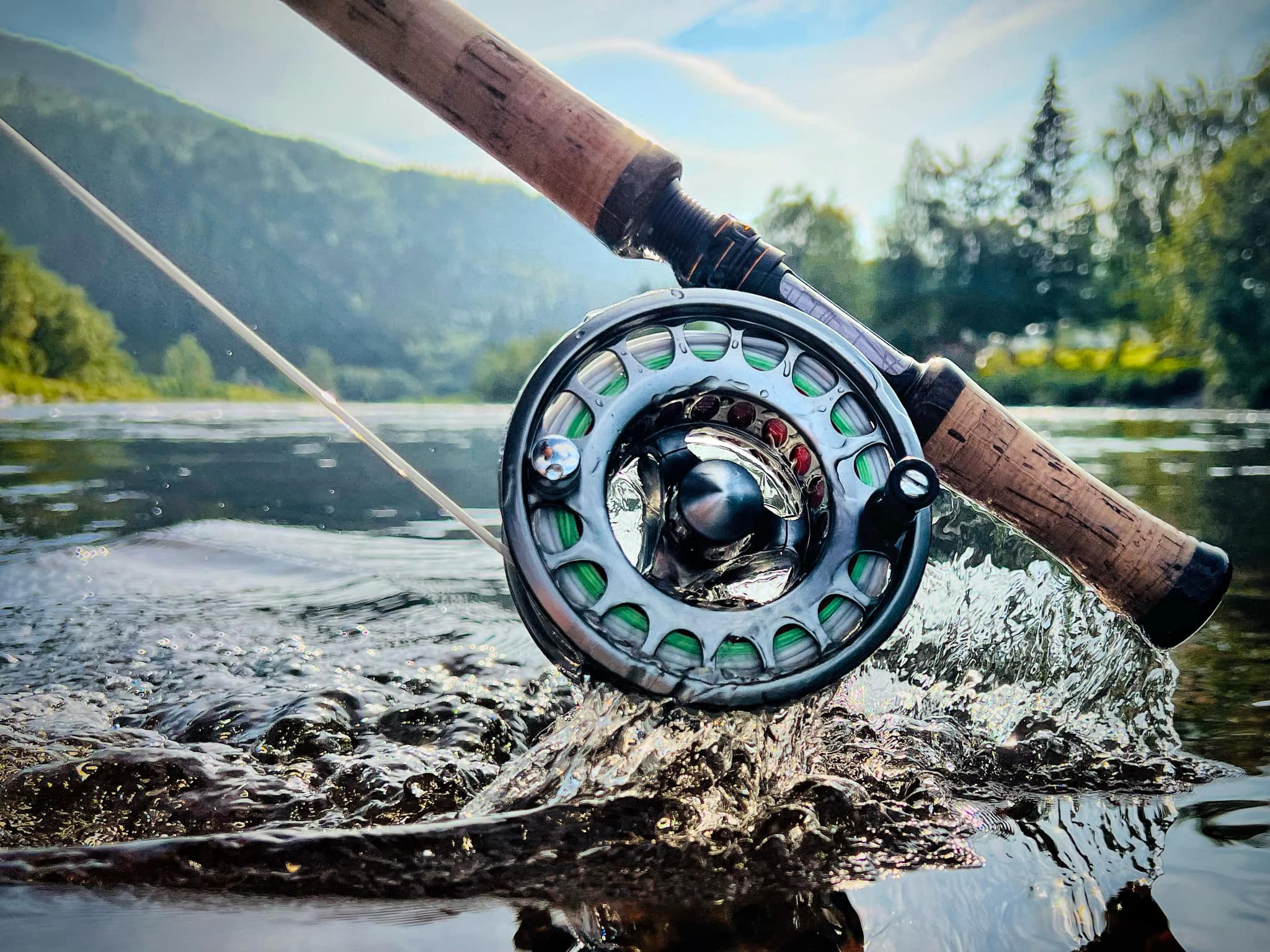 replacement bearings for shimano reels Complete Line Roller Assembly, Titanium, 2-bearing (Shimano) – i_fish Tackle they can be run ICAST 2012 - Wright Model:BGLT3000D-XH application__Shakeyhead