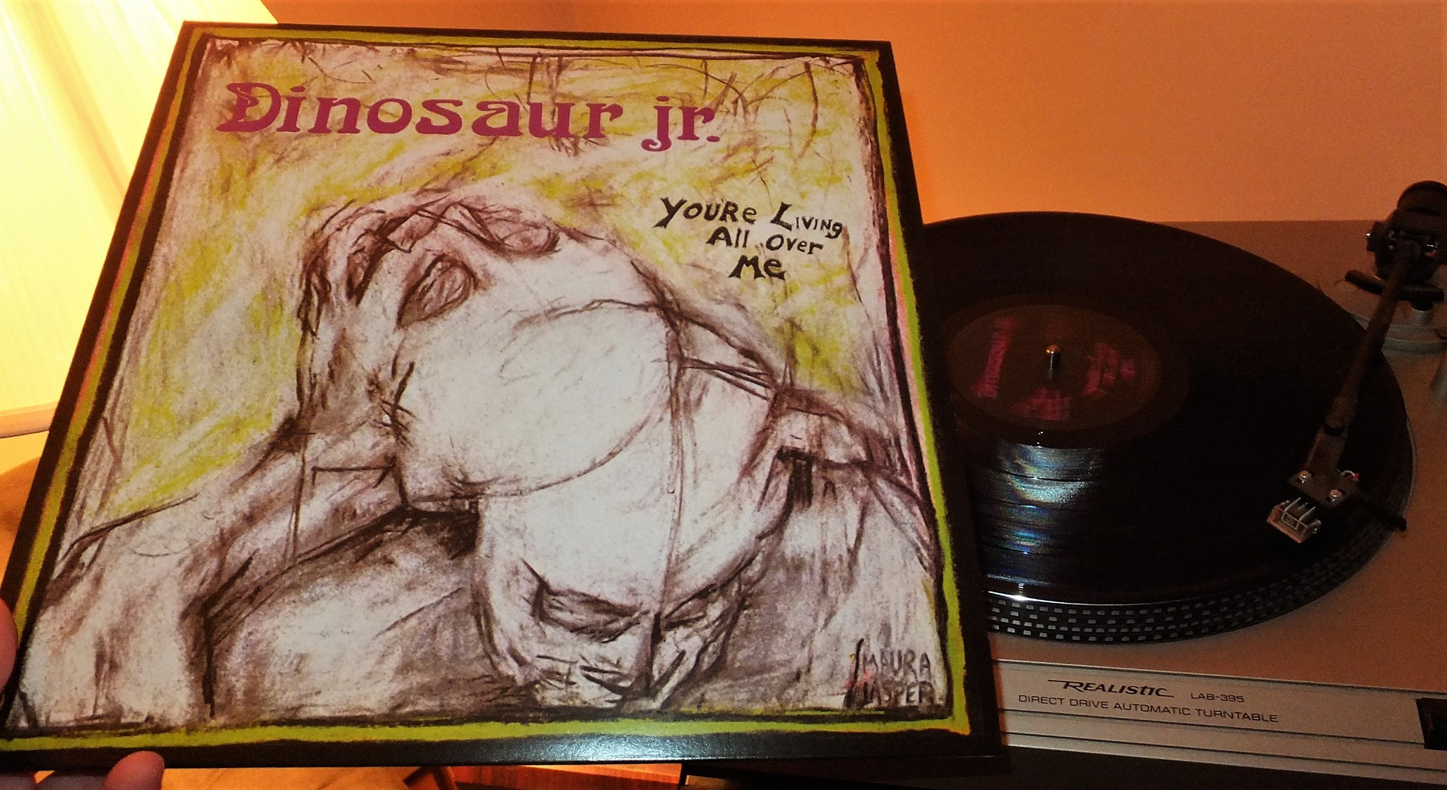 Dinosaur Jr. - You're Living All Over Me (1987) This is a repress